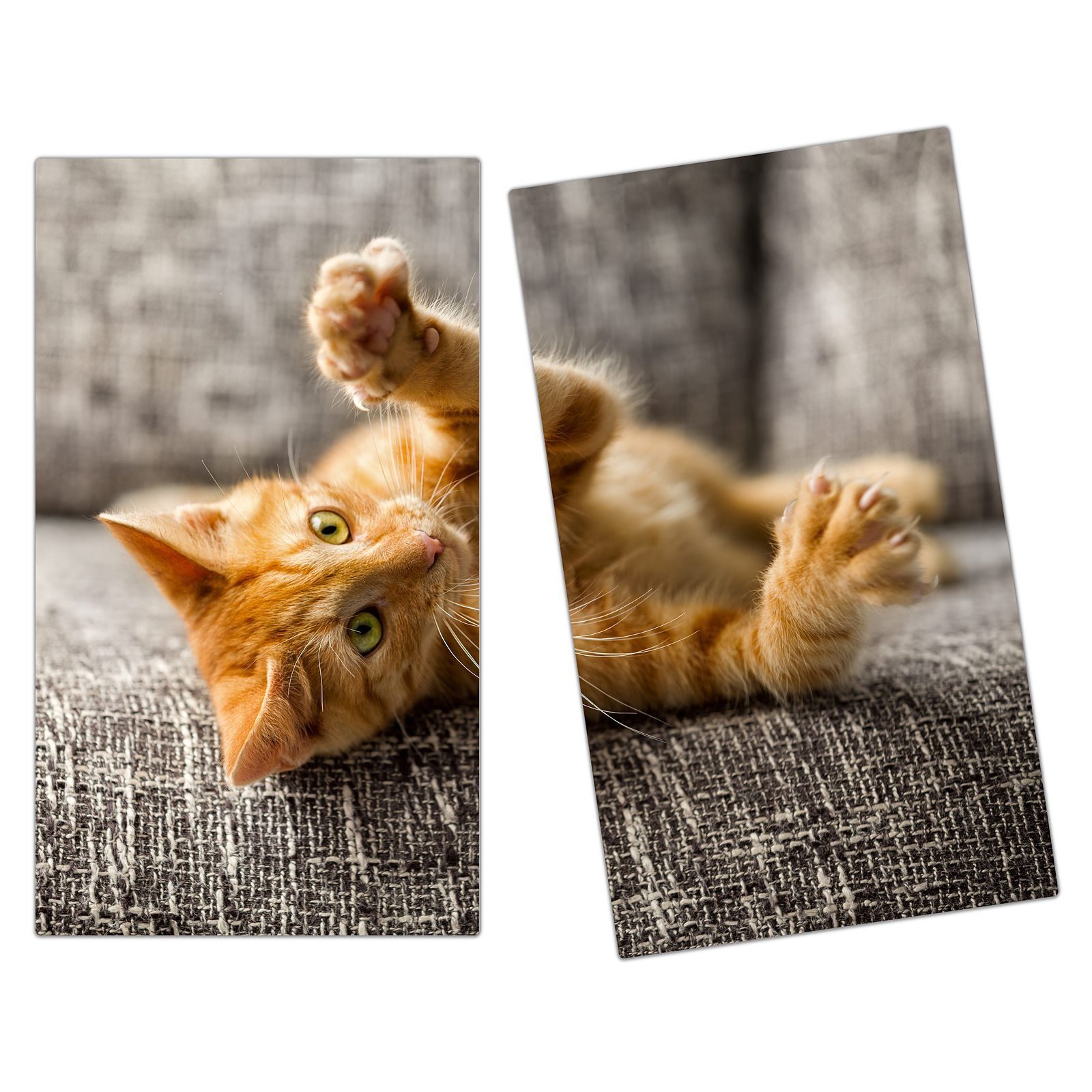 Primedeco Herd-Abdeckplatte Herdabdeckplatte Spritzschutz aus Glas Katze spielt auf Bett, Glas, (2 tlg)