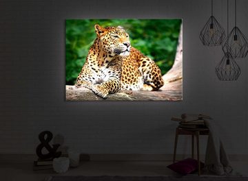 lightbox-multicolor LED-Bild Leopard in der Natur front lighted / 60x40cm, Leuchtbild mit Fernbedienung