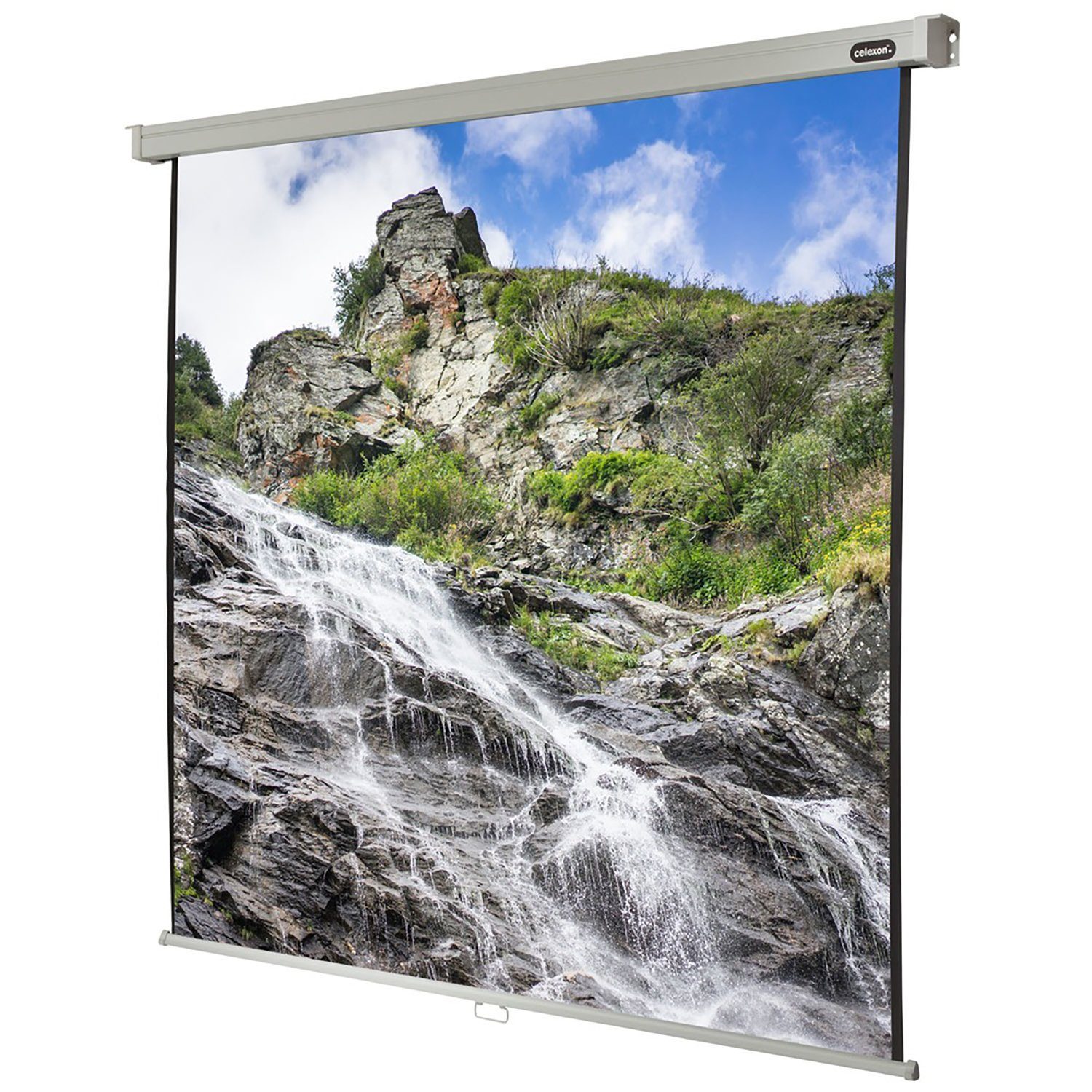 Celexon Professional Rolloleinwand (black_backside)