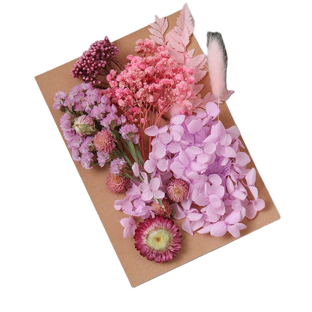 Trockenblume Pampasgras Zum Basteln Mini Trockenblumen, günstig online kaufen