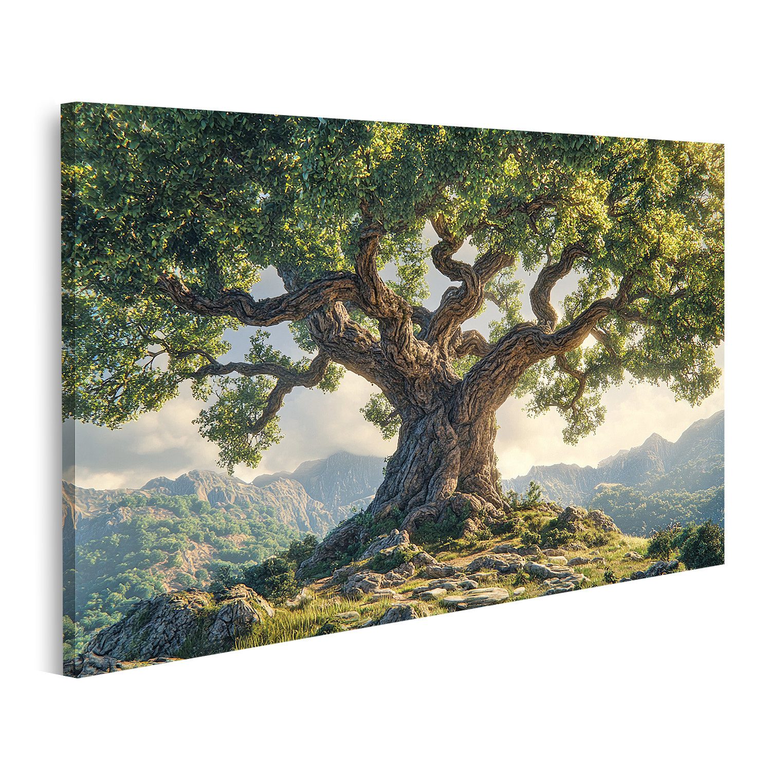 islandburner Leinwandbild, Majestätischer alter Baum in einer Berglandschaft