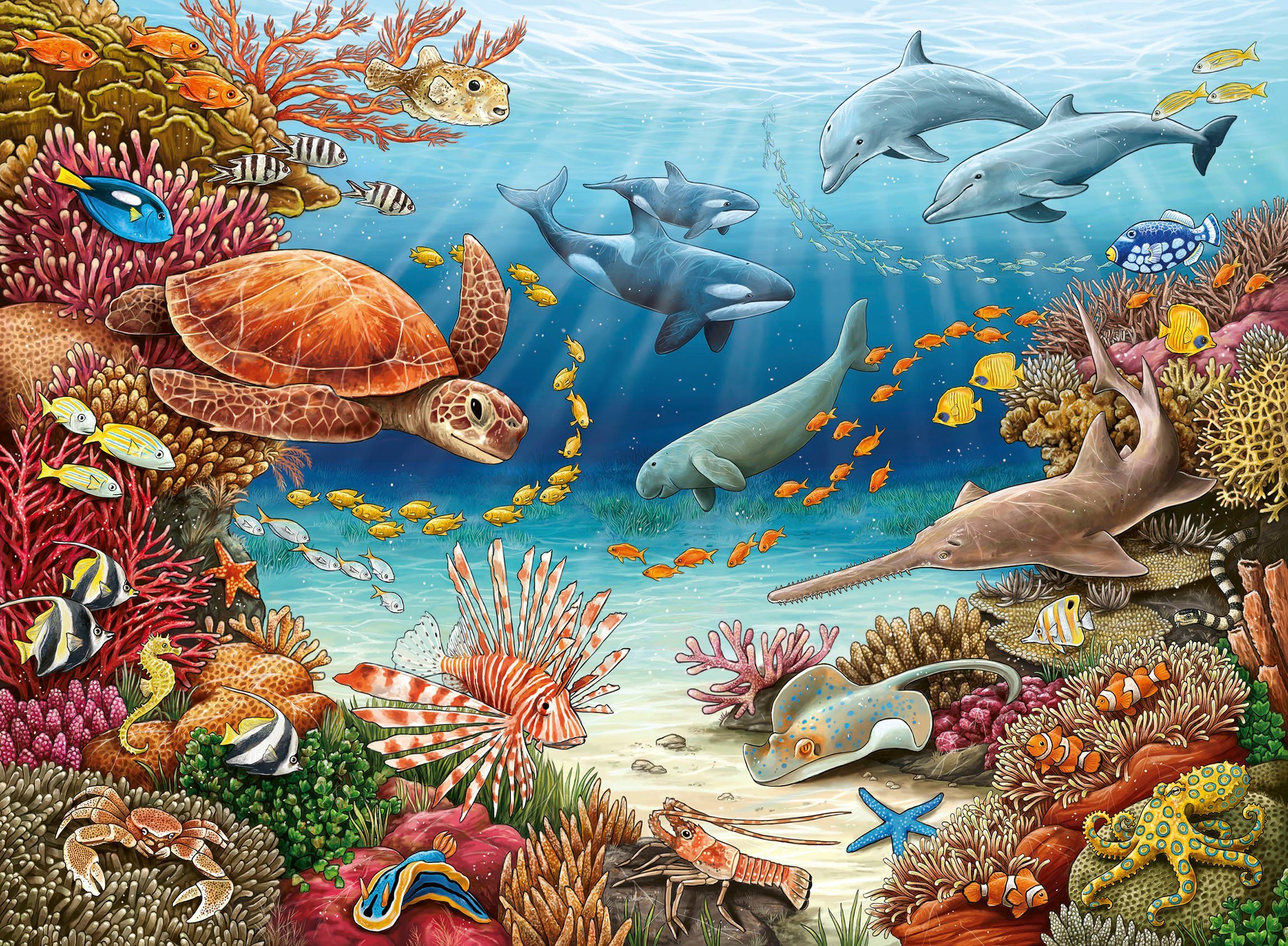 Ravensburger Puzzle Wieso? Weshalb? Warum? Meerestiere günstig online kaufen