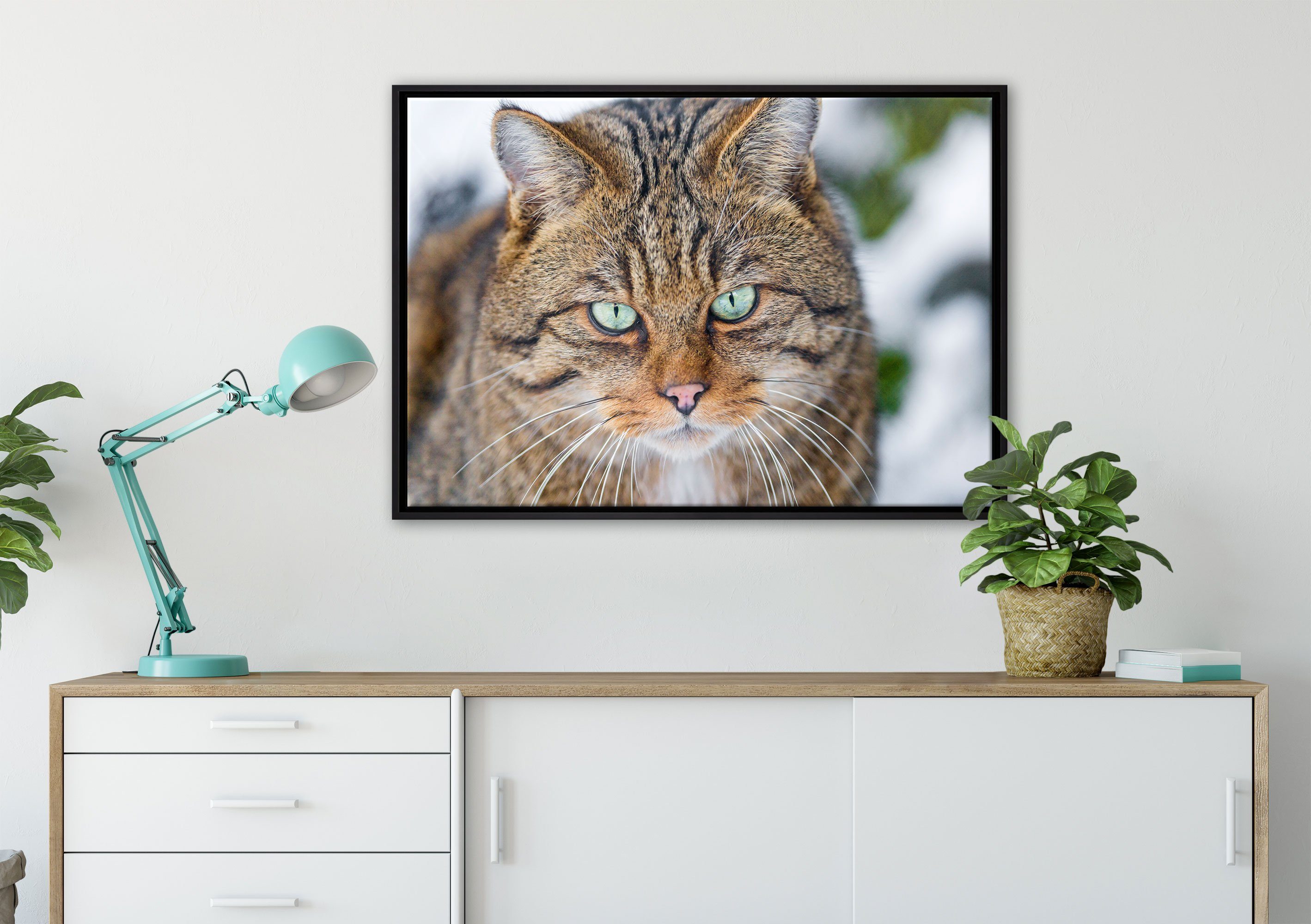 Leinwandbild Wanddekoration einem bespannt, fertig in St), (1 Zackenaufhänger Pixxprint Schattenfugen-Bilderrahmen inkl. lauernde Leinwandbild Manul, gefasst,