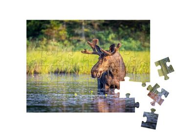 puzzleYOU Puzzle Elchbulle im Algonguin Park, Ontario, Kanada, 48 Puzzleteile, puzzleYOU-Kollektionen Elche, Tiere in Wald & Gebirge