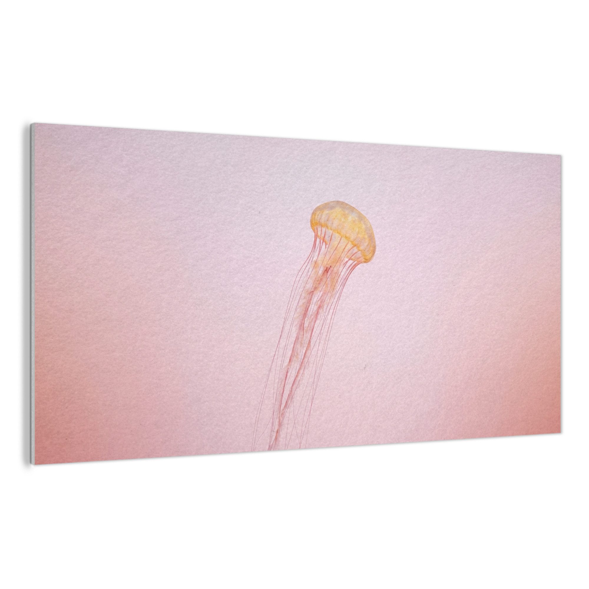 MuchoWow Gemälde Ornate - Qualle - Rosa, Fotodruck (1 St), Akustikpaneele, Wandpaneele, Schalldämmung, Akustikbilder 120x60 cm