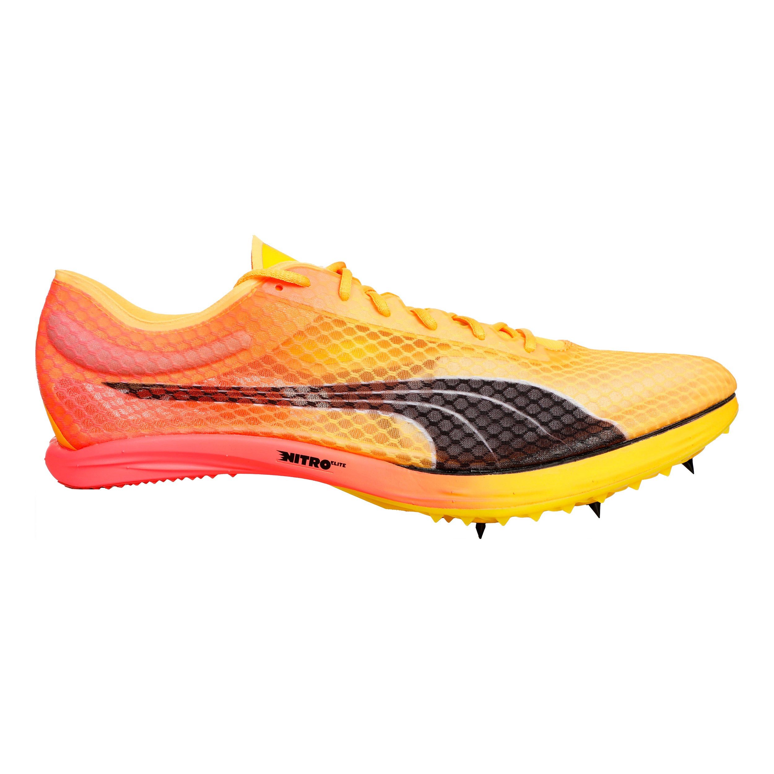 PUMA Evospeed Distance Nitro Elite+ 2 - Spikeschuh Laufschuh