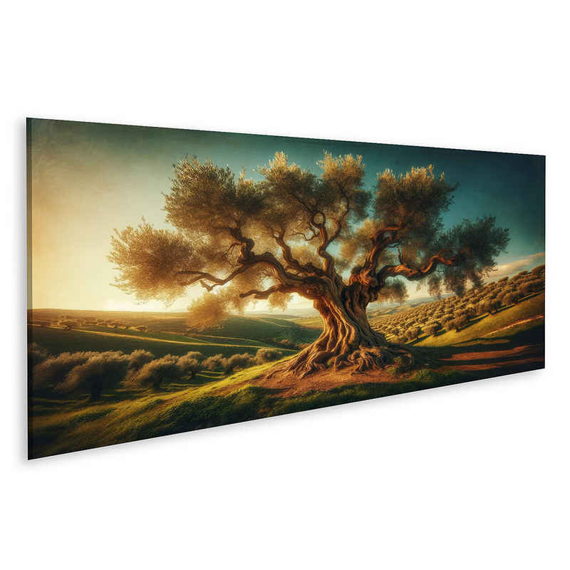 islandburner Leinwandbild Alter Olivenbaum in malerischer mediterraner Landschaft Bilder