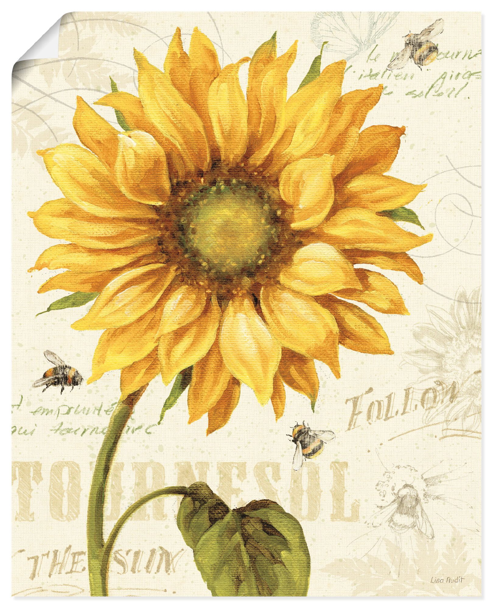 Artland Wandbild Under the Sun I, (1 St), als Alubild, Leinwandbild, Poster, Wandaufkleber in verschied. Größen