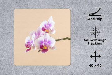 MuchoWow Gaming Mauspad Weiße und rosa Orchidee (1-St), Mousepad mit Rutschfester Unterseite, Gaming, 40x40 cm, XXL, Großes