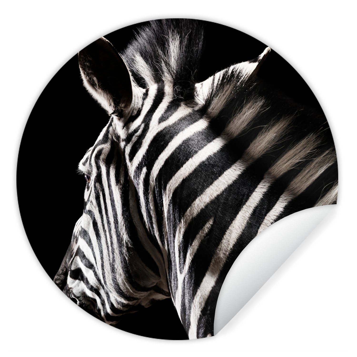 MuchoWow Wandsticker Zebra - Wilde Tapetenaufkleber, (1 Kinderzimmer, Muster Tiere Rund, für - St), Tapetenkreis Wohnzimmer