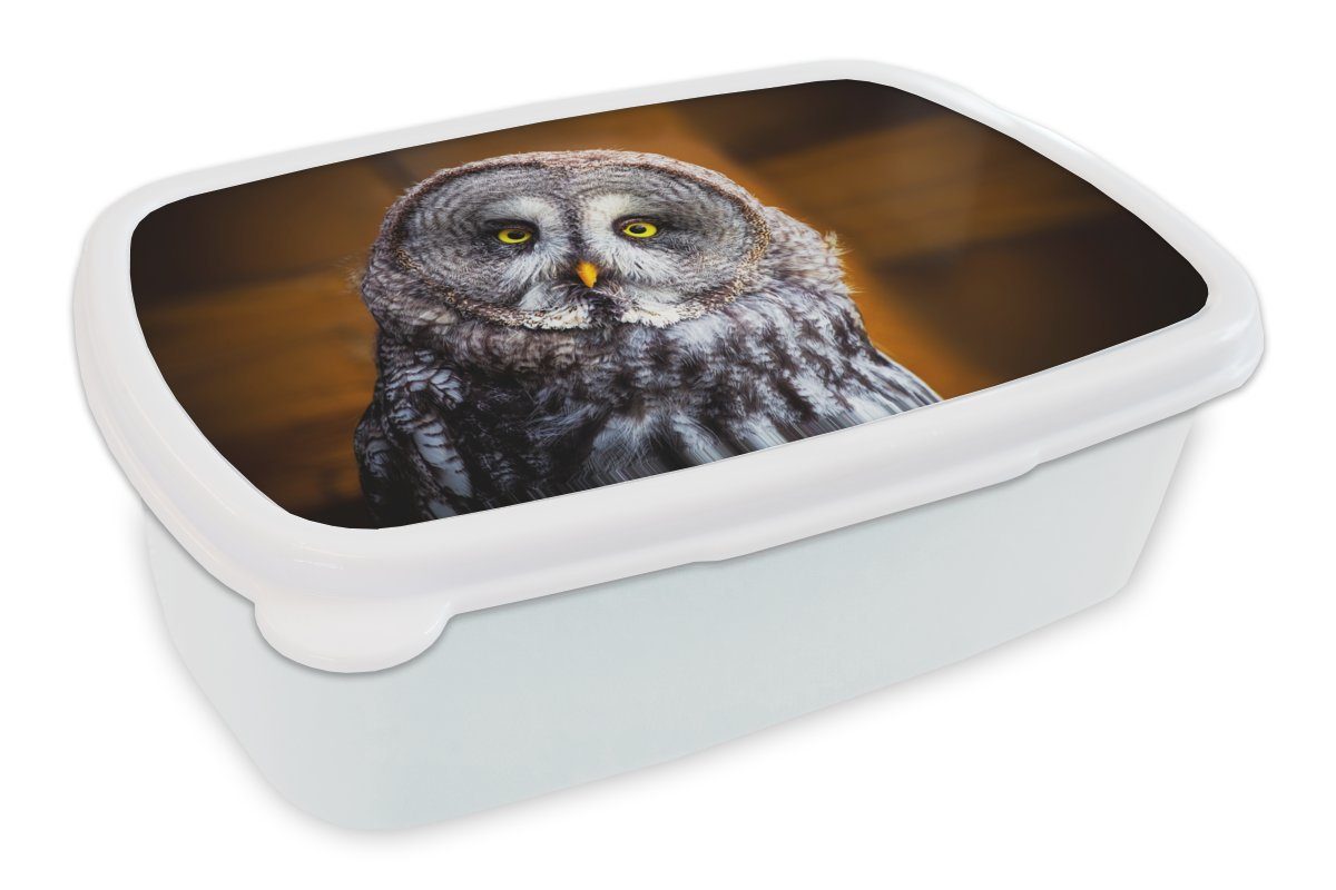 MuchoWow Lunchbox Porträt des Lapplandkauzes, Kunststoff, (2-tlg), Brotbox für Kinder und Erwachsene, Brotdose, für Jungs und Mädchen weiß