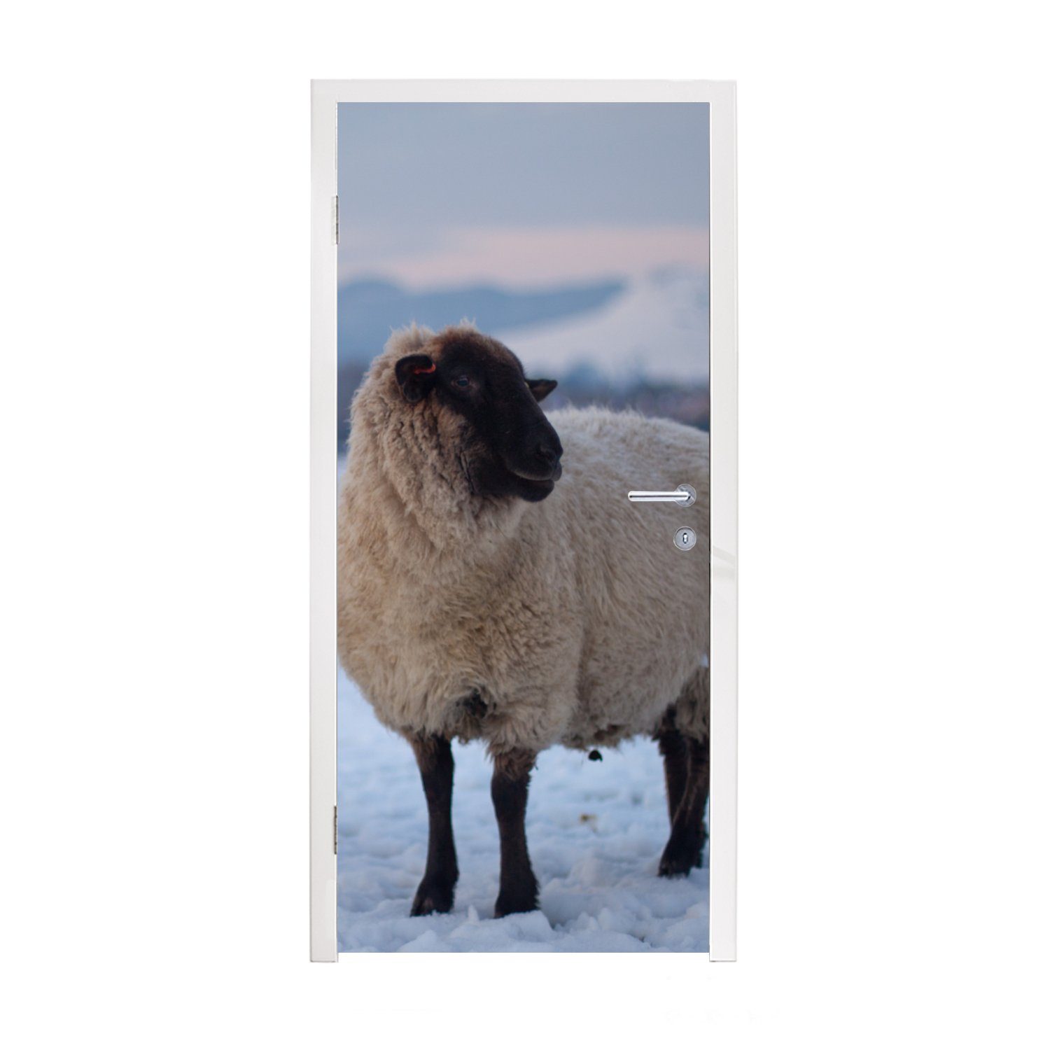 MuchoWow Türtapete Schaf - Schnee - Berg, Matt, bedruckt, (1 St), Fototapete für Tür, Türaufkleber, 75x205 cm