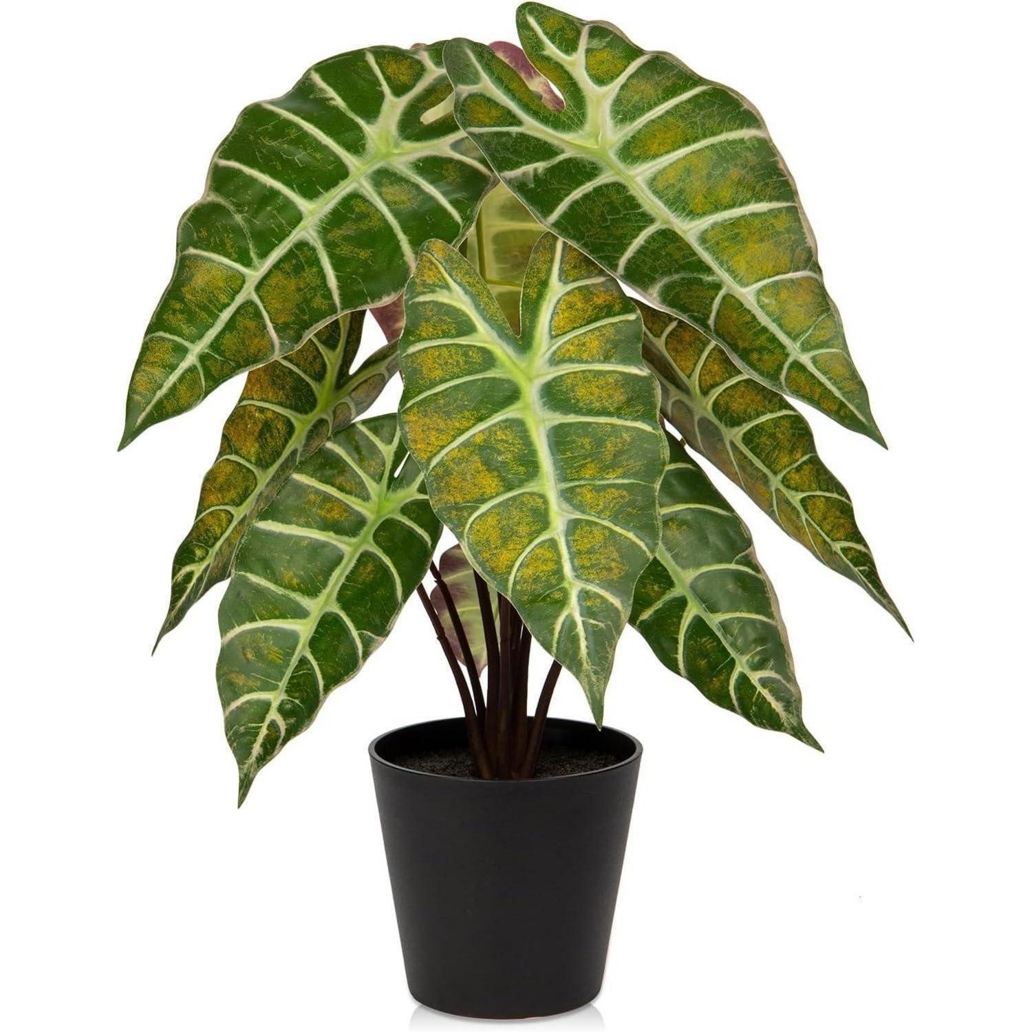 Künstliche Zimmerpflanze Kunstpflanze Calathea Zebrina Alocasia Sanderiana Deko Zimmerpflanze, Briful