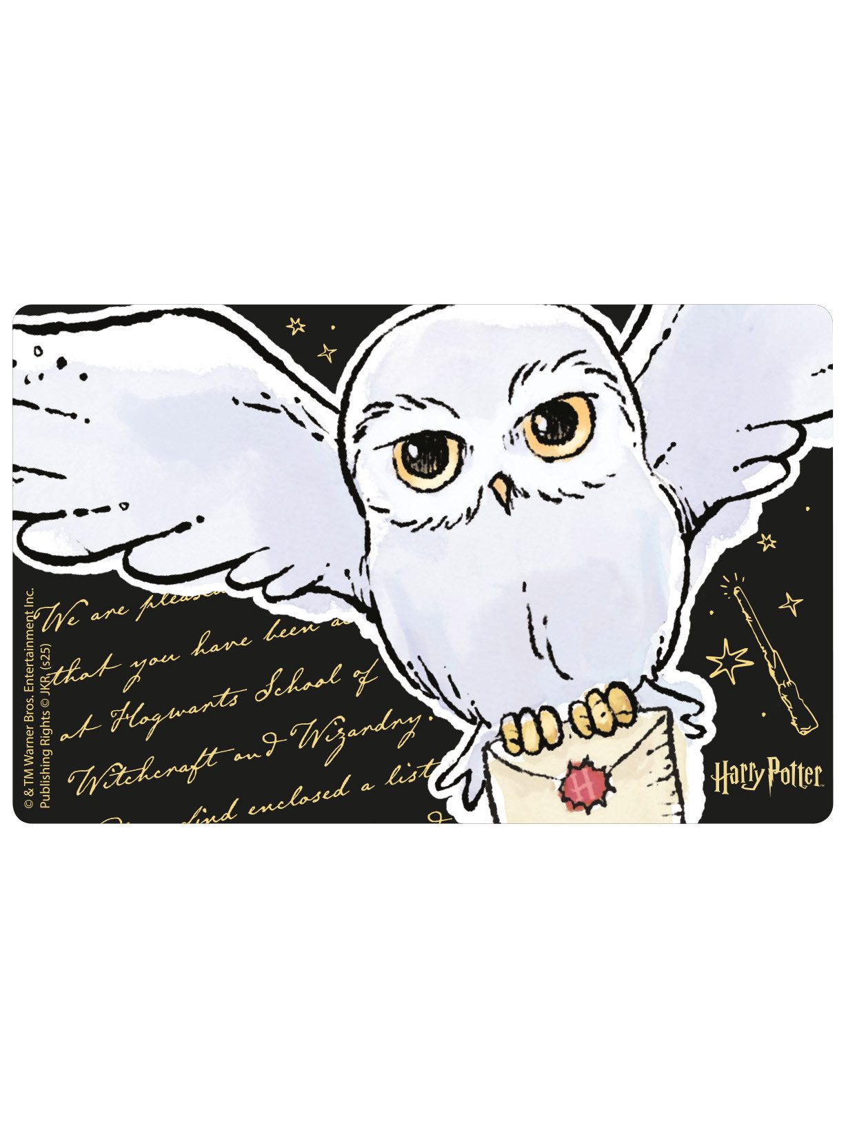 United Labels® Lunchbox Harry Potter Brotdose Hedwig Eule Lunchbox Butterbrotdose Trennwand, Kunststoff (PP)