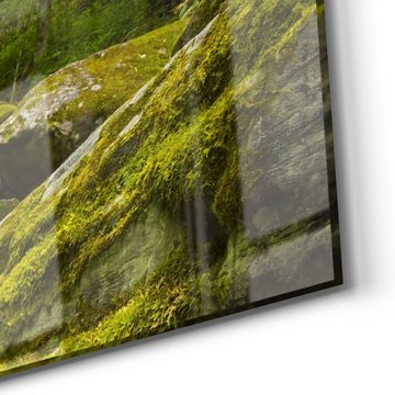 DEQORI Glasbild 'Sattgrüne Waldkulisse', 'Sattgrüne Waldkulisse', Glas Wandbild Bild schwebend modern