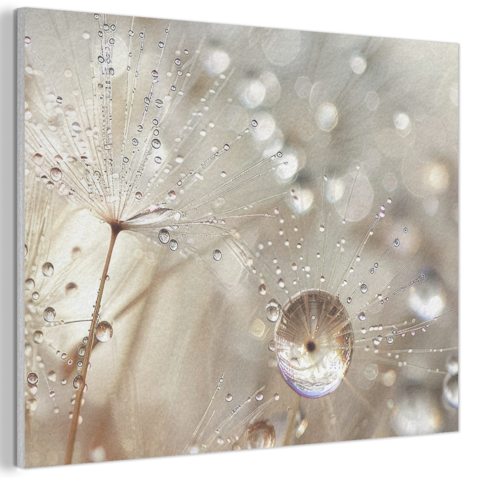 MuchoWow Gemälde Natur - Blumen - Tropfen - Regen, Fotodruck (1 St), Akustikpaneele PET-Filz, Akustikbild, Schalldämmung, Deko 40x30 cm