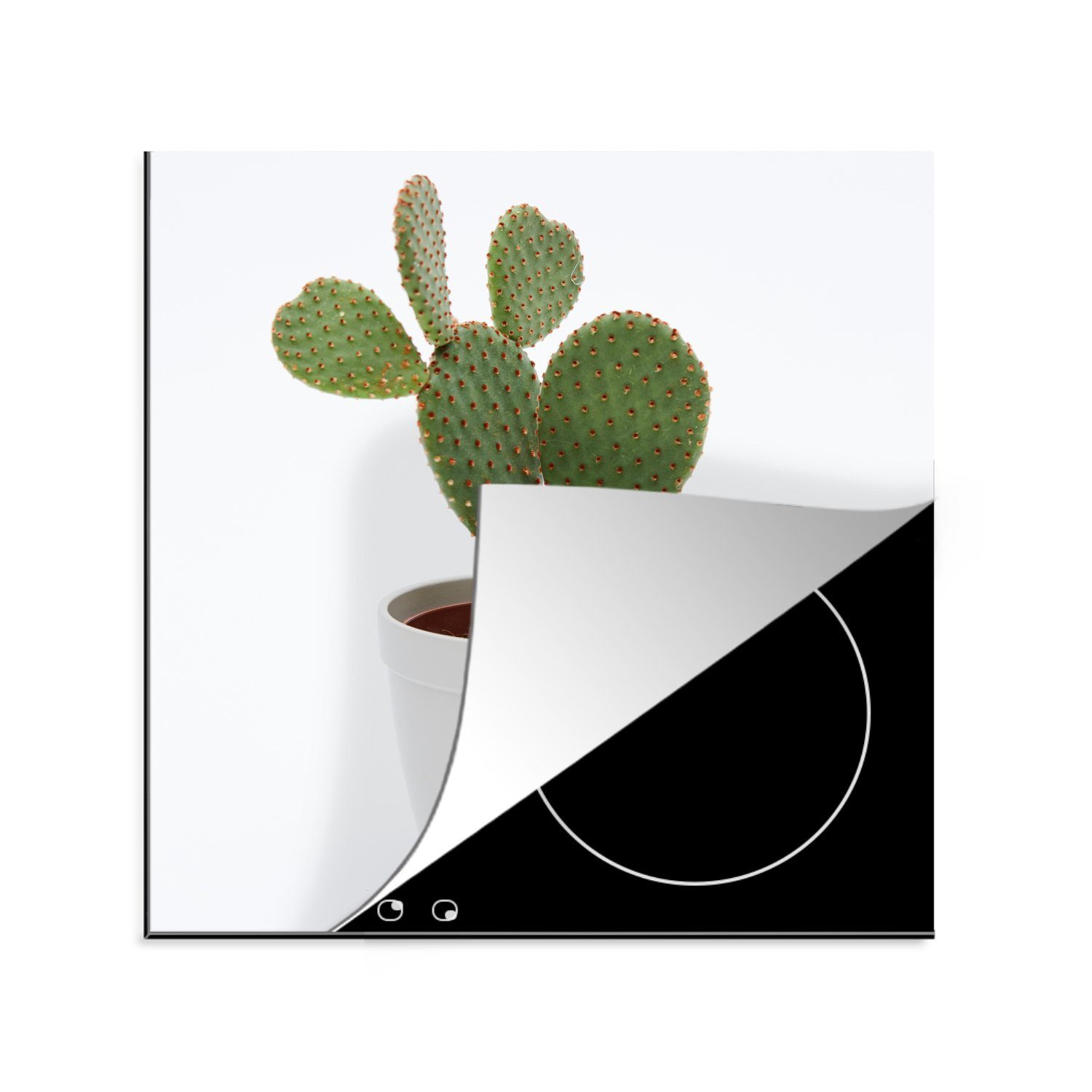 MuchoWow Herdblende-/Abdeckplatte Kaktus in einem Topf auf weißem Hintergrund, Vinyl, (1 tlg), 78x78 cm, Ceranfeldabdeckung, Arbeitsplatte für küche