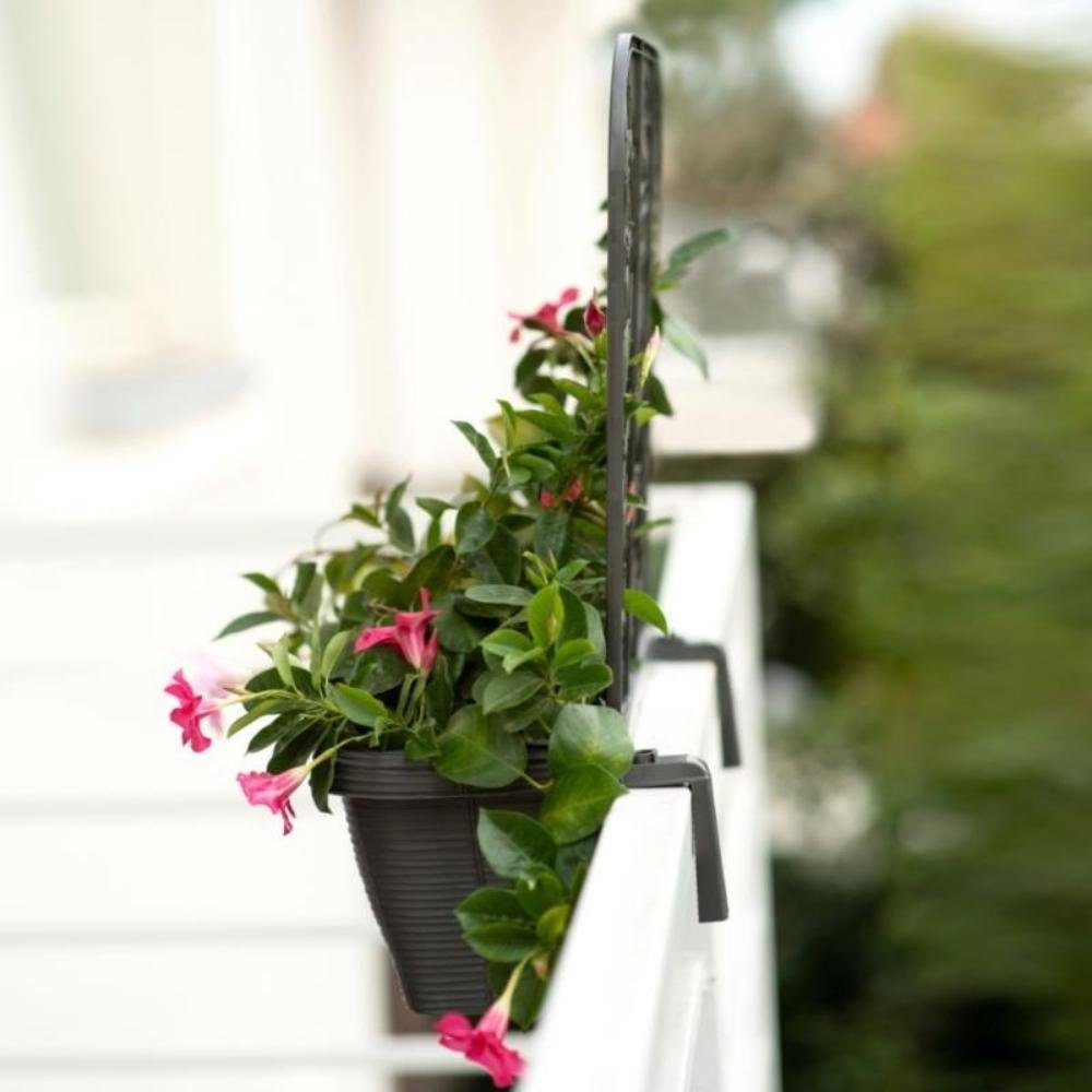 GarPet Blumenkasten 2x Kasten Balkonkasten Anthrazit mit Halterung 60 Blumen Rattan Spalier Geländer