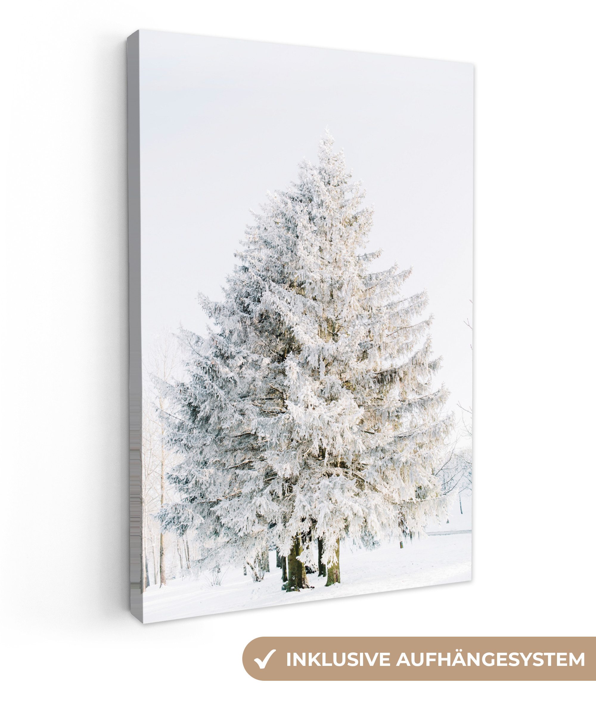 OneMillionCanvasses® Leinwandbild Winter - Baum - Schnee - Kiefer - Weiß, F günstig online kaufen