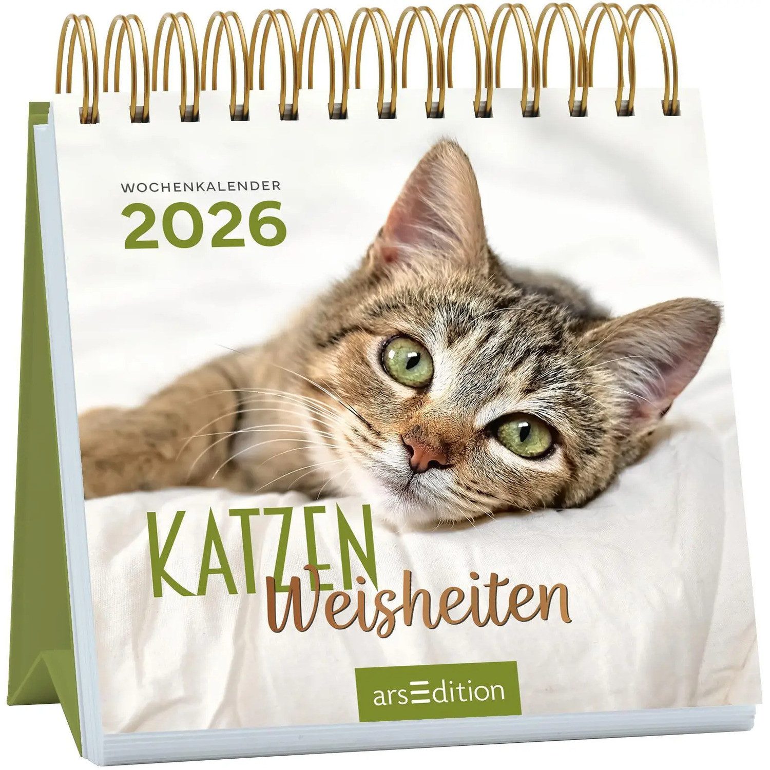 Ars Edition Настольный календарь Mini-Wochenkalender Katzenweisheiten 2026