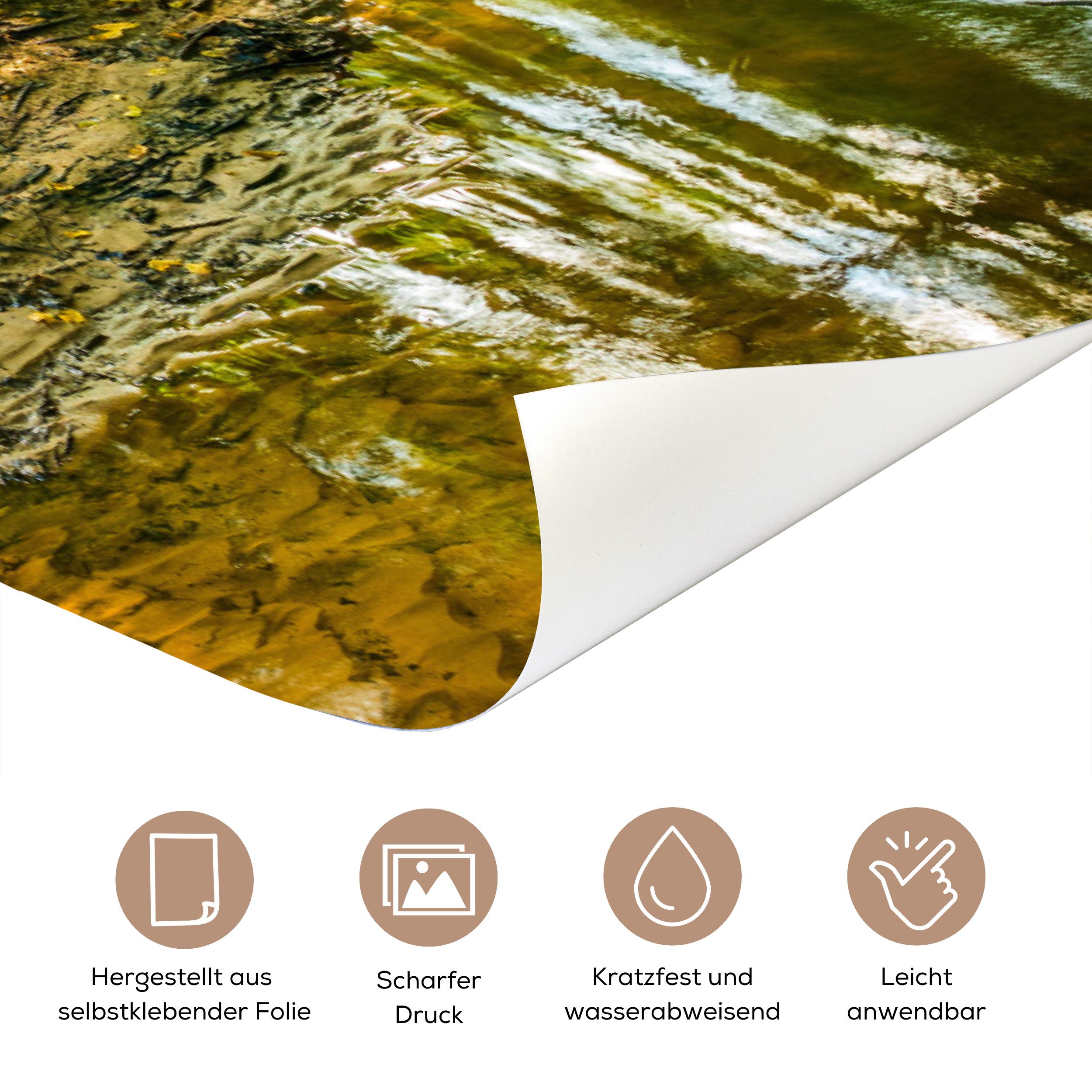 MuchoWow Türtapete Wald - Landschaft - Wasser - Bäume - Sonne - Grün - Natur, Matt, bedruckt, (1 St), Selbstklebende Tapete, Folie für Möbel, 75x205 cm
