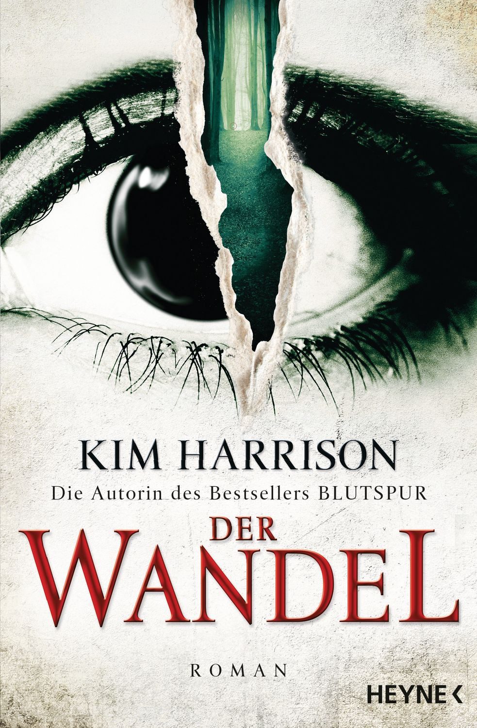 Der Wandel Ein Hollows-Roman 14 / Kim Harrison