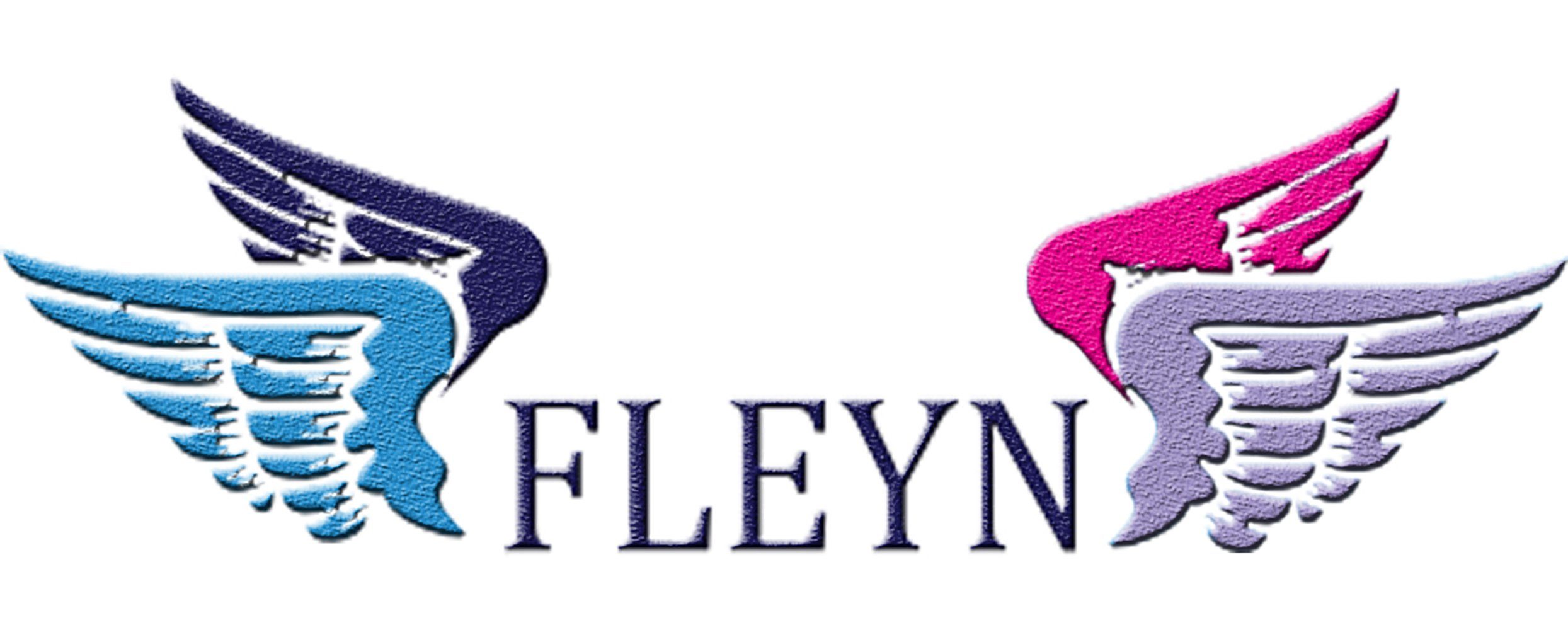 Fleyn