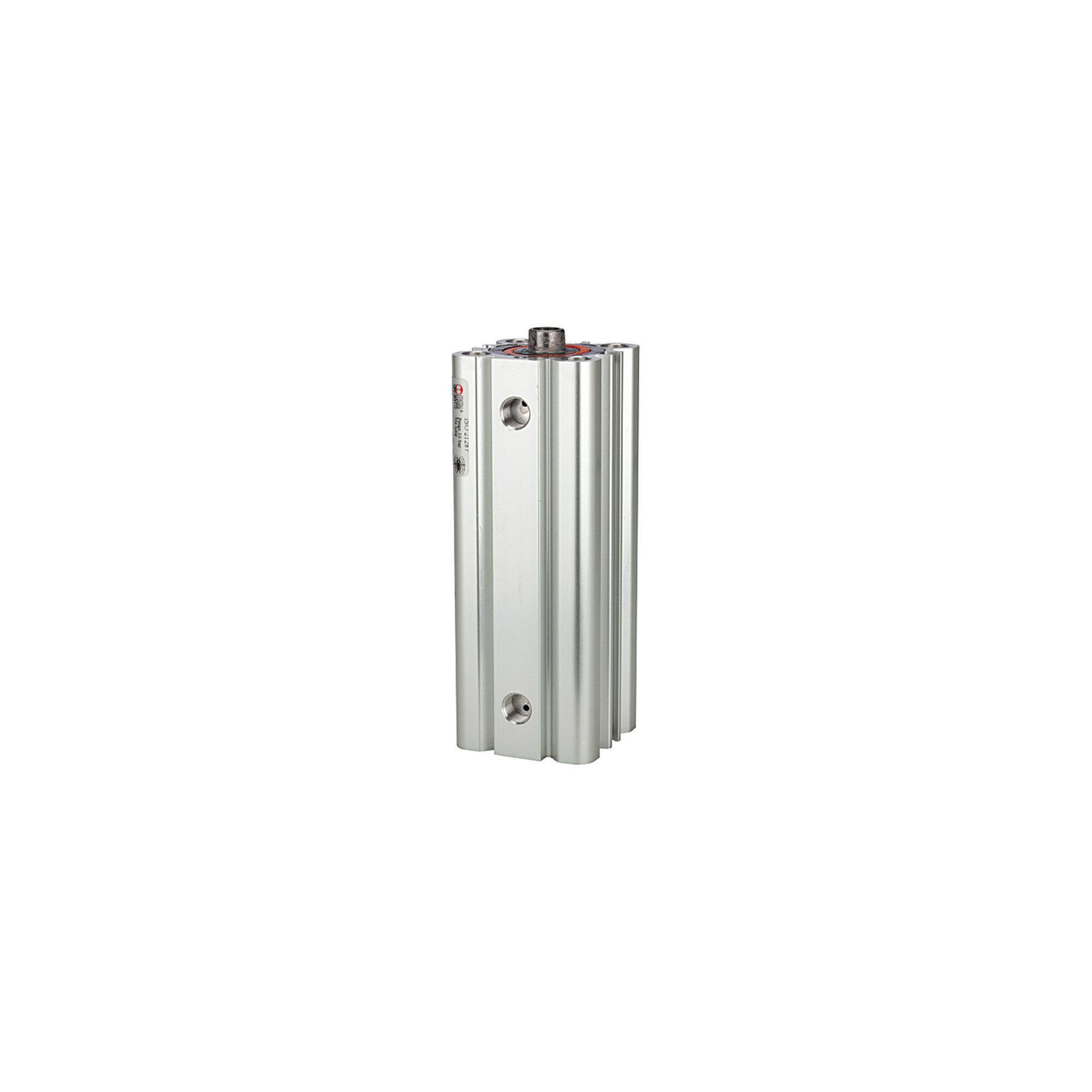 RIEGLER Zylinder Riegler Kompaktzylinder LINER, doppeltwirk., IG, Kol.-Ã˜ 80, Hub 5, G