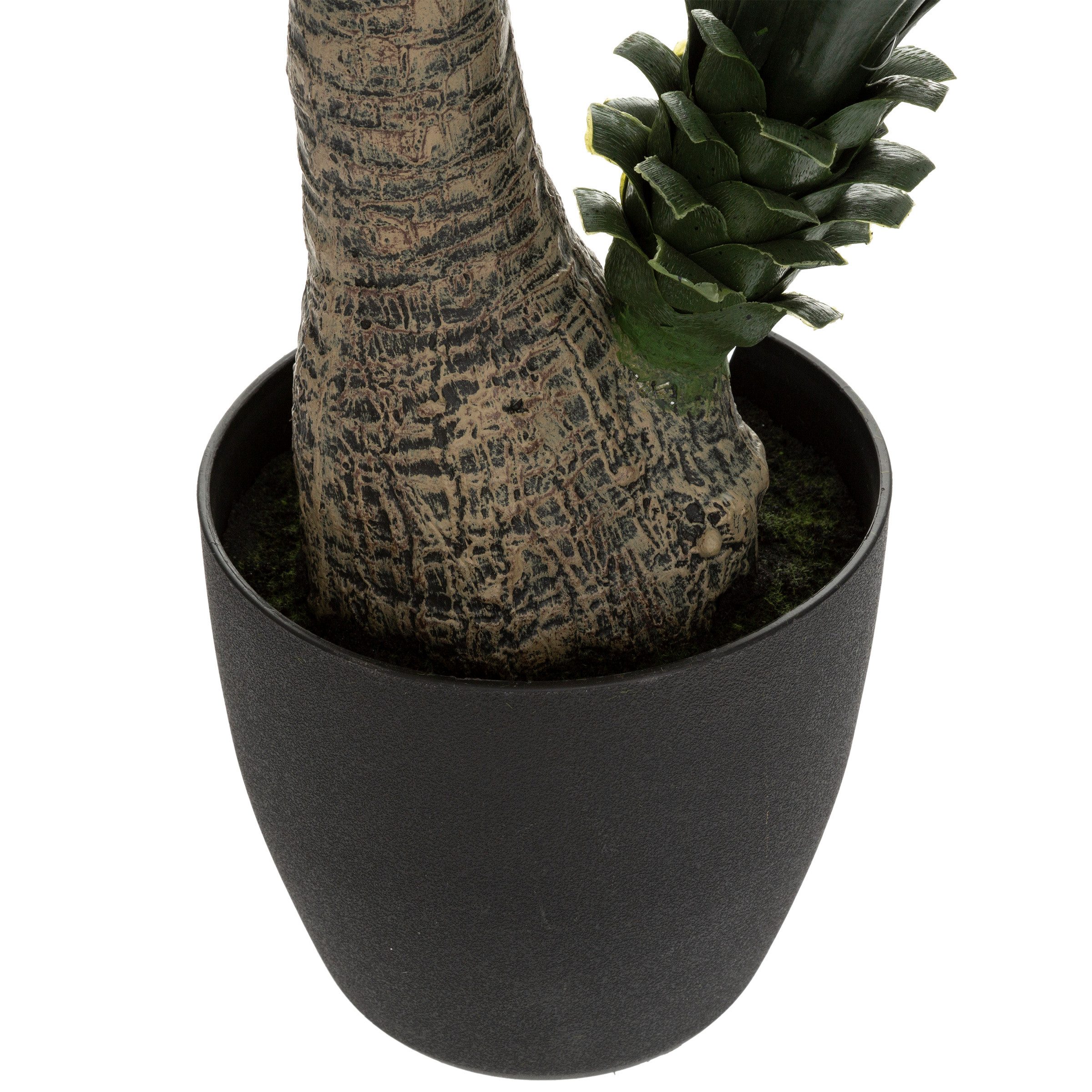 Kunstpflanze Zimmerpflanze, Atmosphera Créateur d'intérieur, Höhe günstig online kaufen