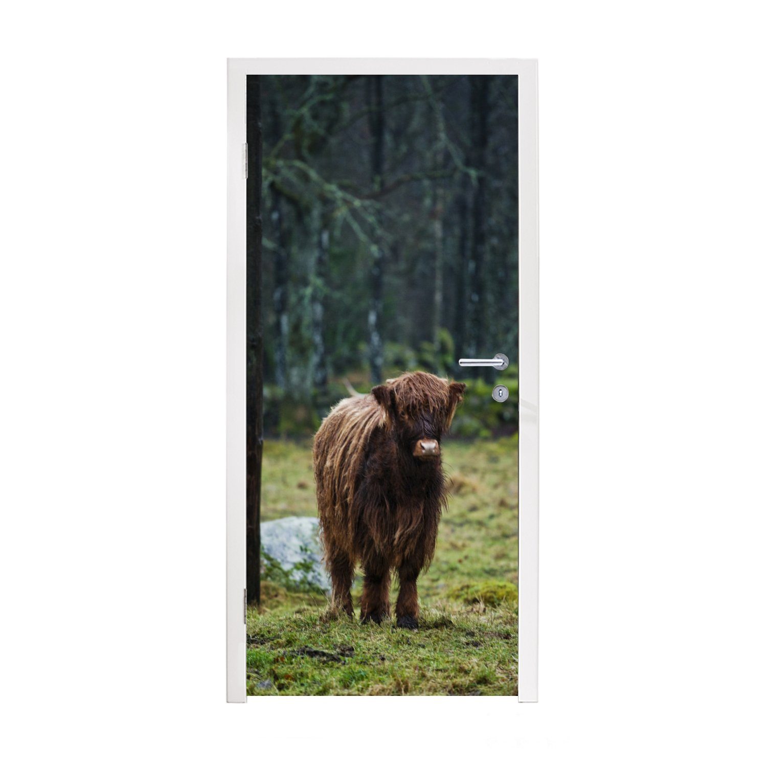 MuchoWow Türtapete Schottischer Hochländer - Wald - Moos, Matt, bedruckt, (1 St), Fototapete für Tür, Türaufkleber, 75x205 cm