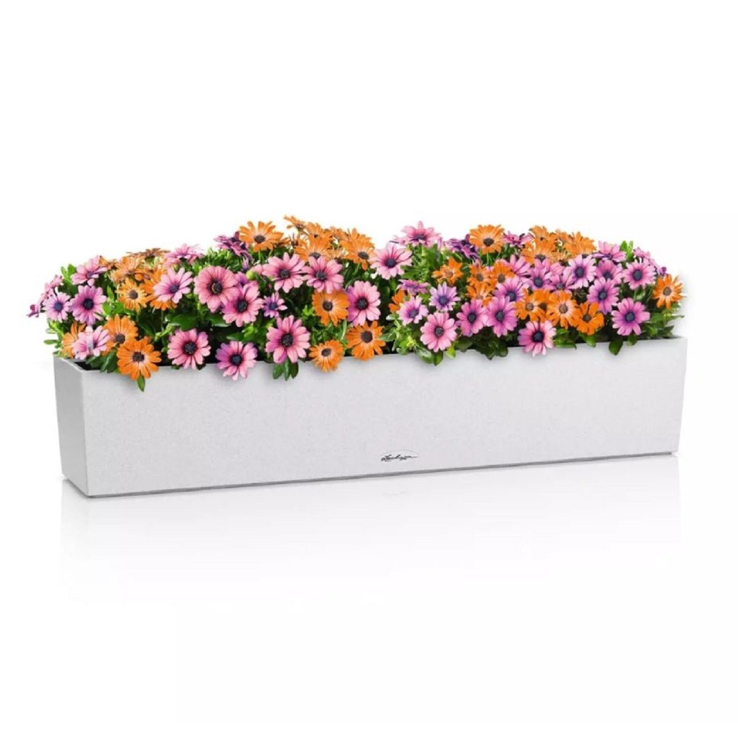 Lechuza® Balkonkasten BALCONERA Stone 100 quarzweiß günstig online kaufen