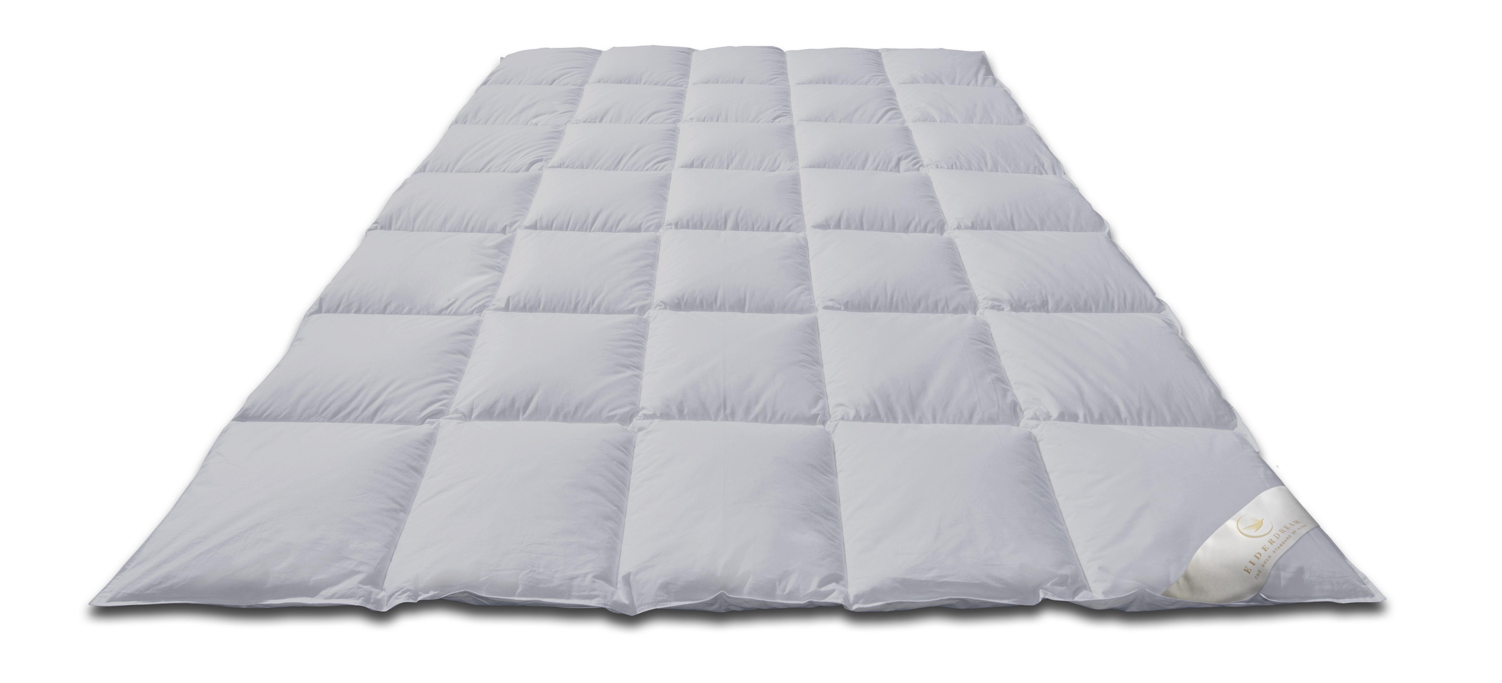 EIDERDREAM Daunenbettdecke EIDERDREAM Eiderdaunendecke – 100 % arktische Ei günstig online kaufen