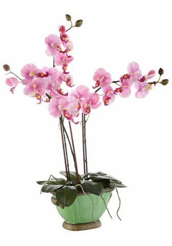 HOME AFFAIRE Искусственное растение »Orchidee...