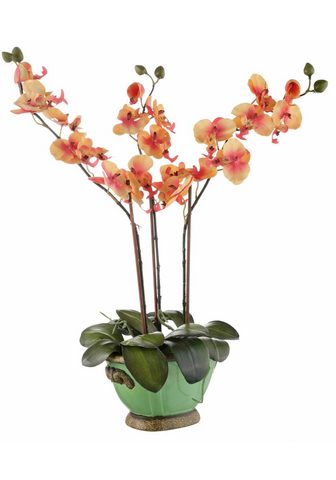 Искусственное растение »Orchidee...