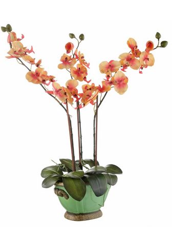 HOME AFFAIRE Искусственное растение »Orchidee...
