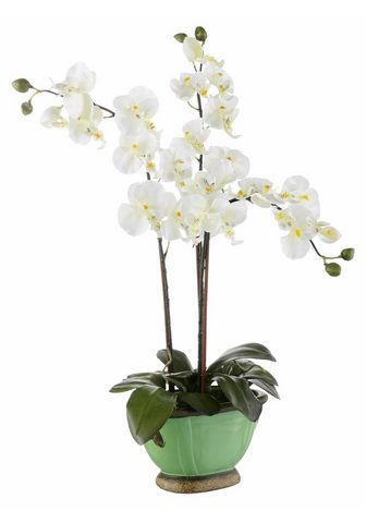 Искусственное растение »Orchidee...