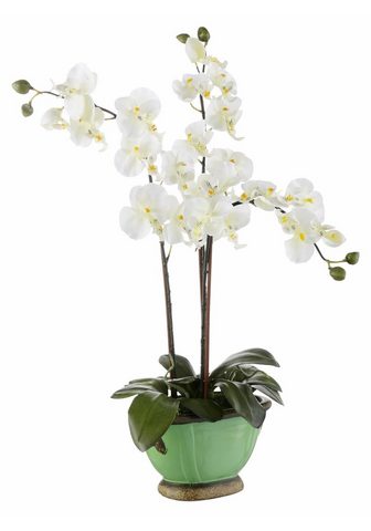 HOME AFFAIRE Искусственное растение »Orchidee...