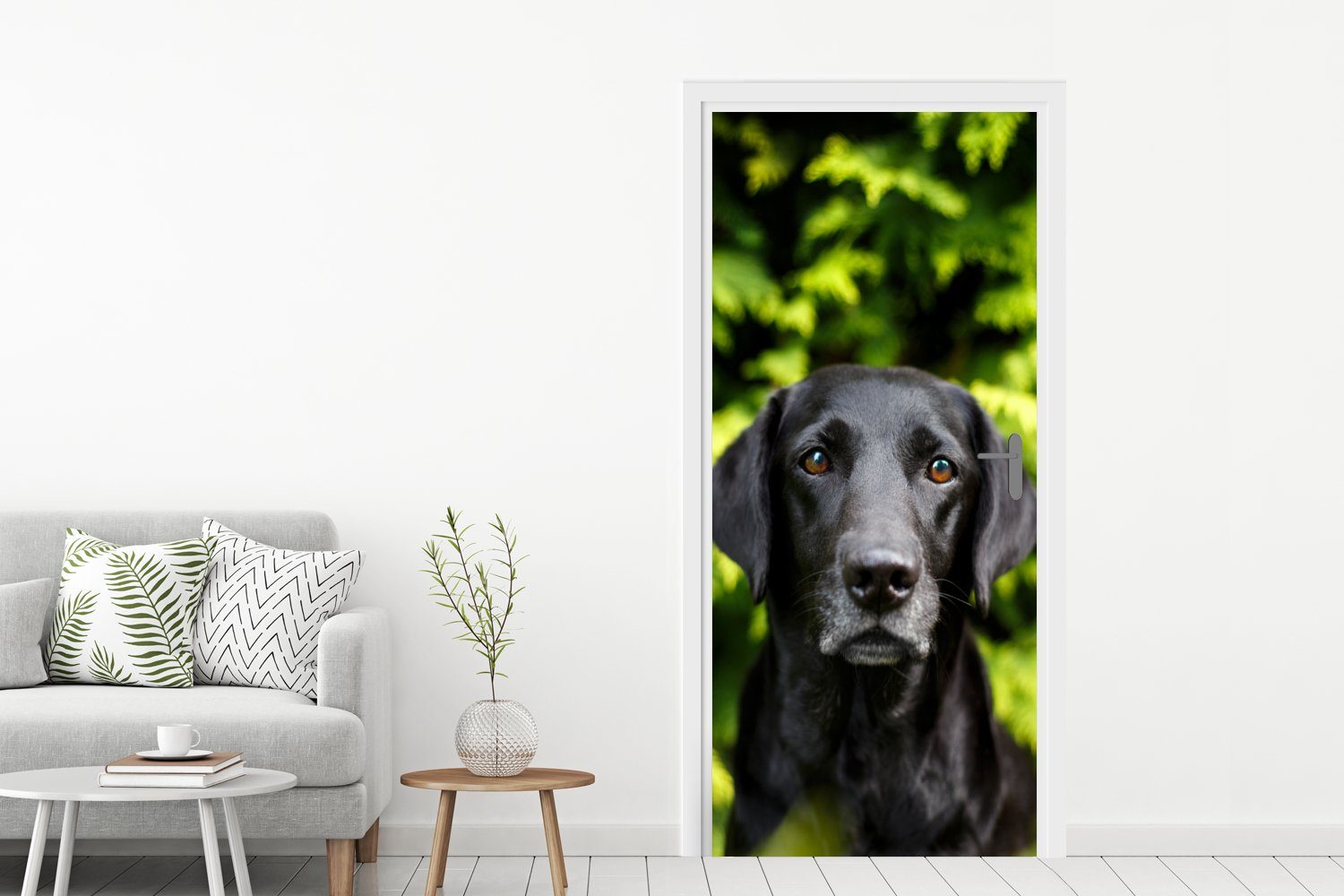(1 Matt, schwarzer Blätter, MuchoWow bedruckt, Türaufkleber, für Ein Türtapete Labrador Retriever Fototapete Tür, cm St), inmitten der 75x205 grünen