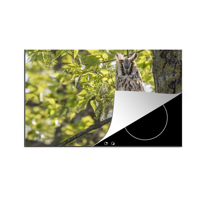 MuchoWow Herdblende-/Abdeckplatte Waldohreule hoch oben in einem Baum ruhend Vinyl (1 tlg) induktionskochfeld Schutz für die küche Ceranfeldabdeckung