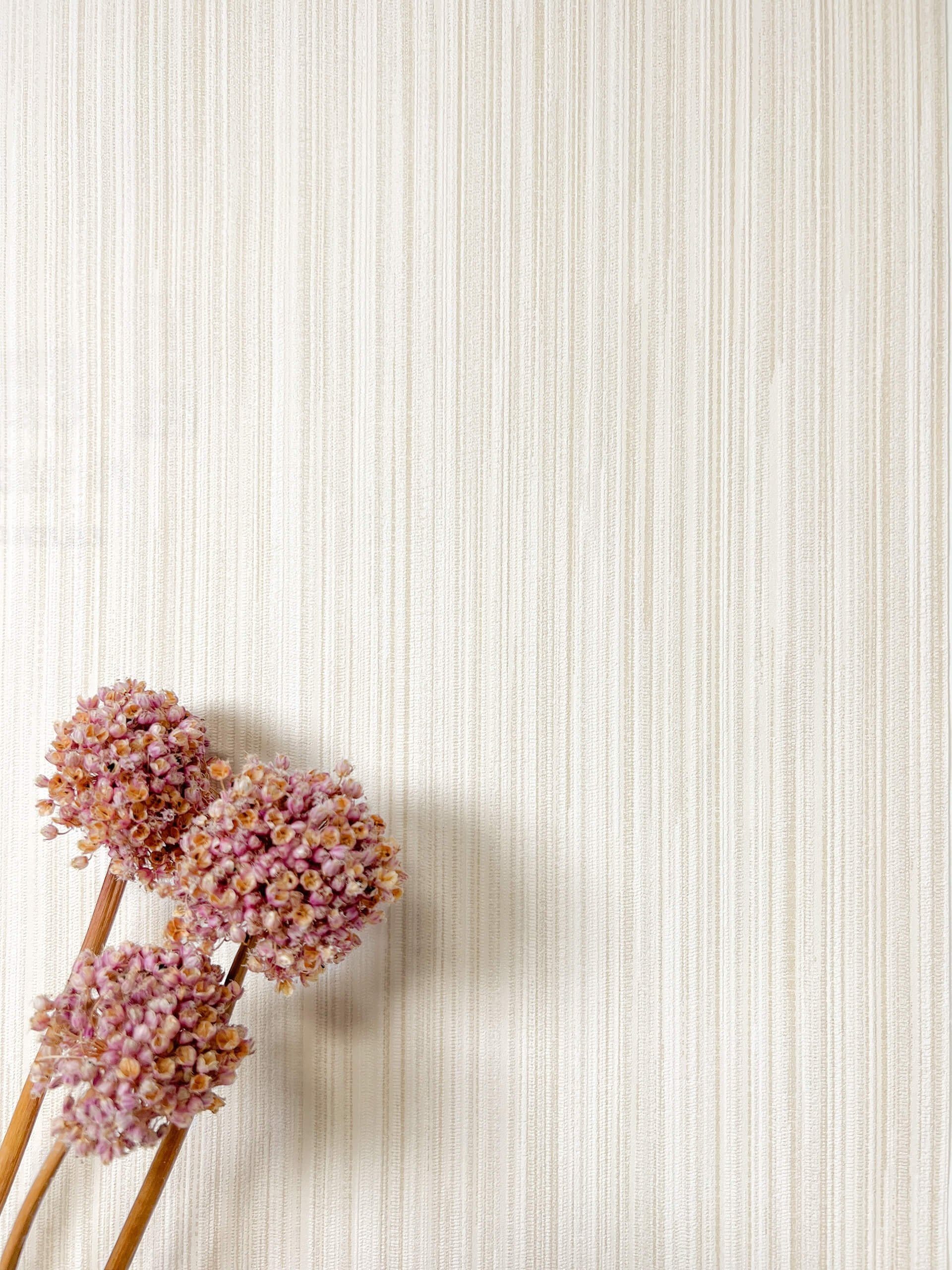 Newroom Vliestapete, Creme Tapete Modern Unifarbe - Universal Einfarbig Bei günstig online kaufen