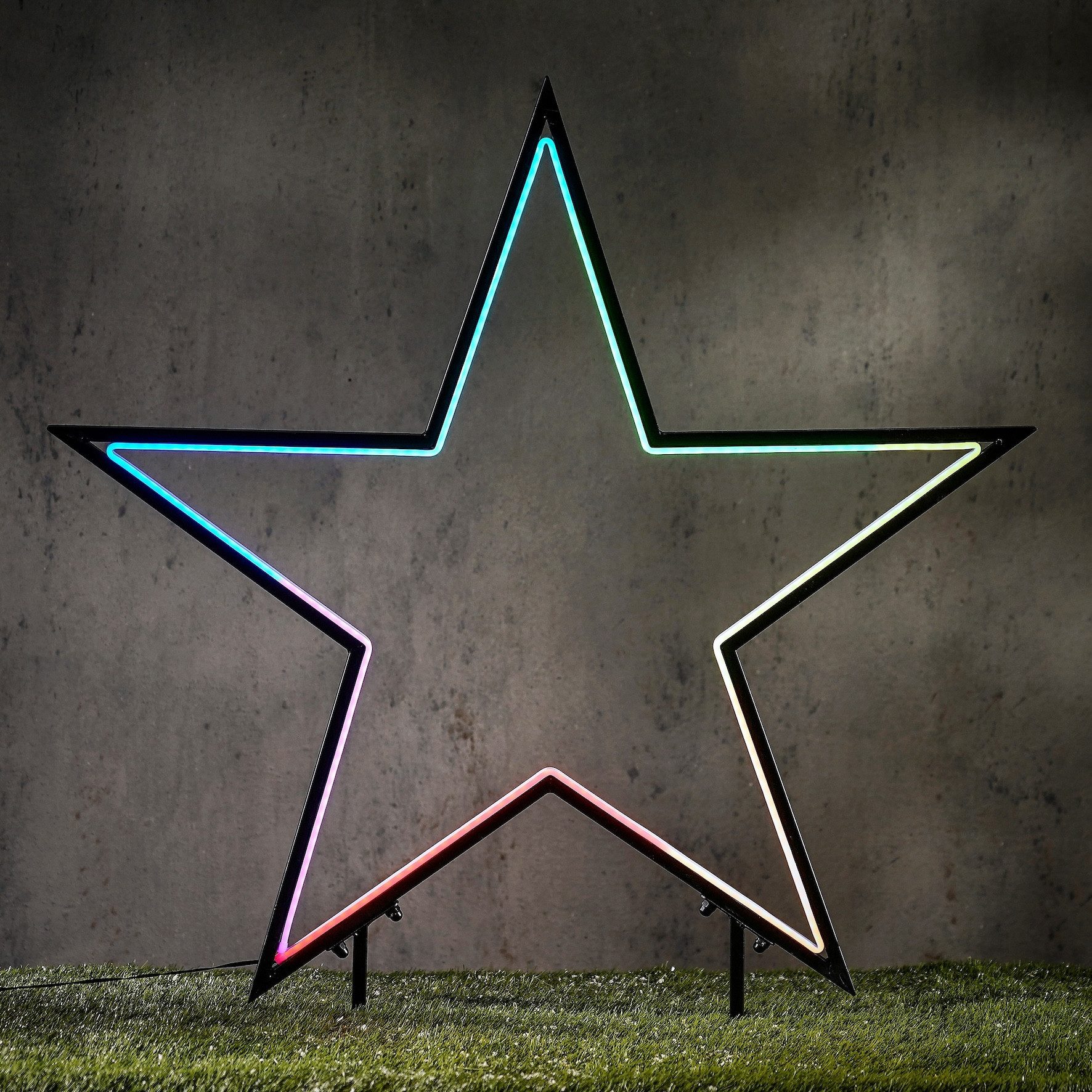 edelman LED Stern Garden d light Neon Gartenstecker schwarz, LED fest integriert