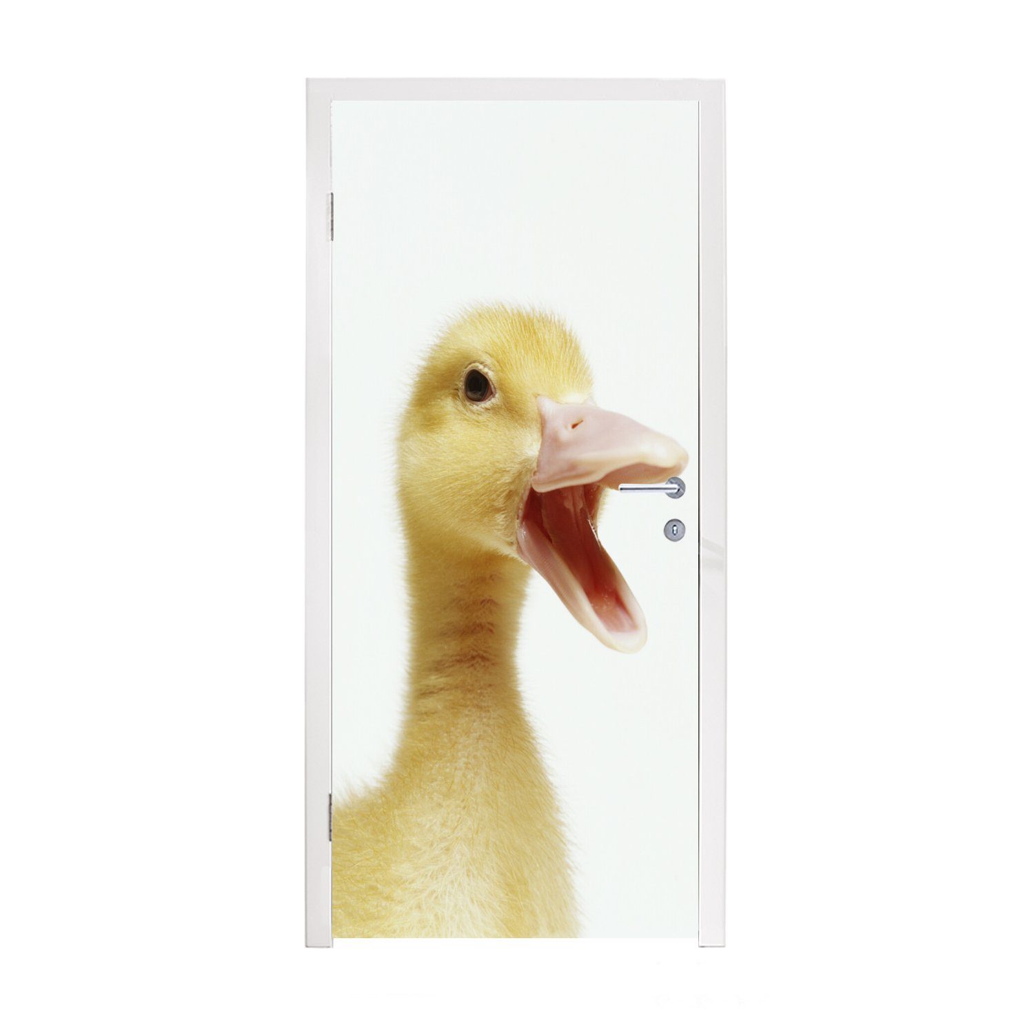 MuchoWow Türtapete Porträt eines Entenbabys, Matt, bedruckt, (1 St), Fototapete für Tür, Türaufkleber, 75x205 cm