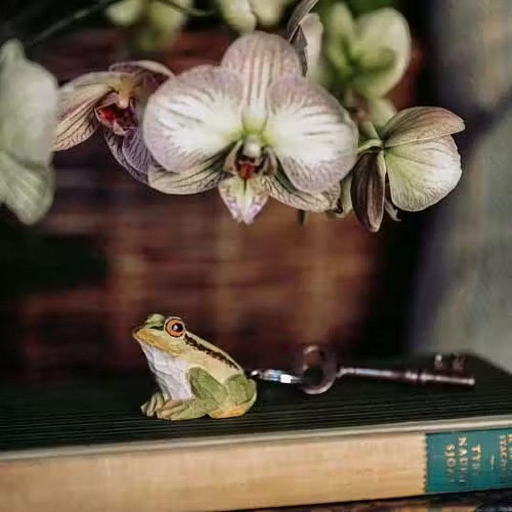 Wildlife Garden Schlüsselanhänger Schlüsselanhänger Frosch Grün günstig online kaufen