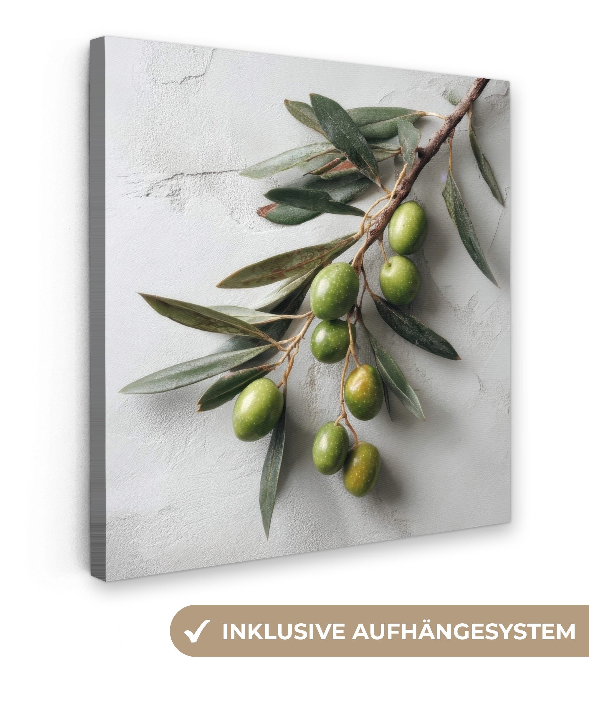 OneMillionCanvasses® Leinwandbild Olivenzweig - Beton - Mediterran, Fotodru günstig online kaufen