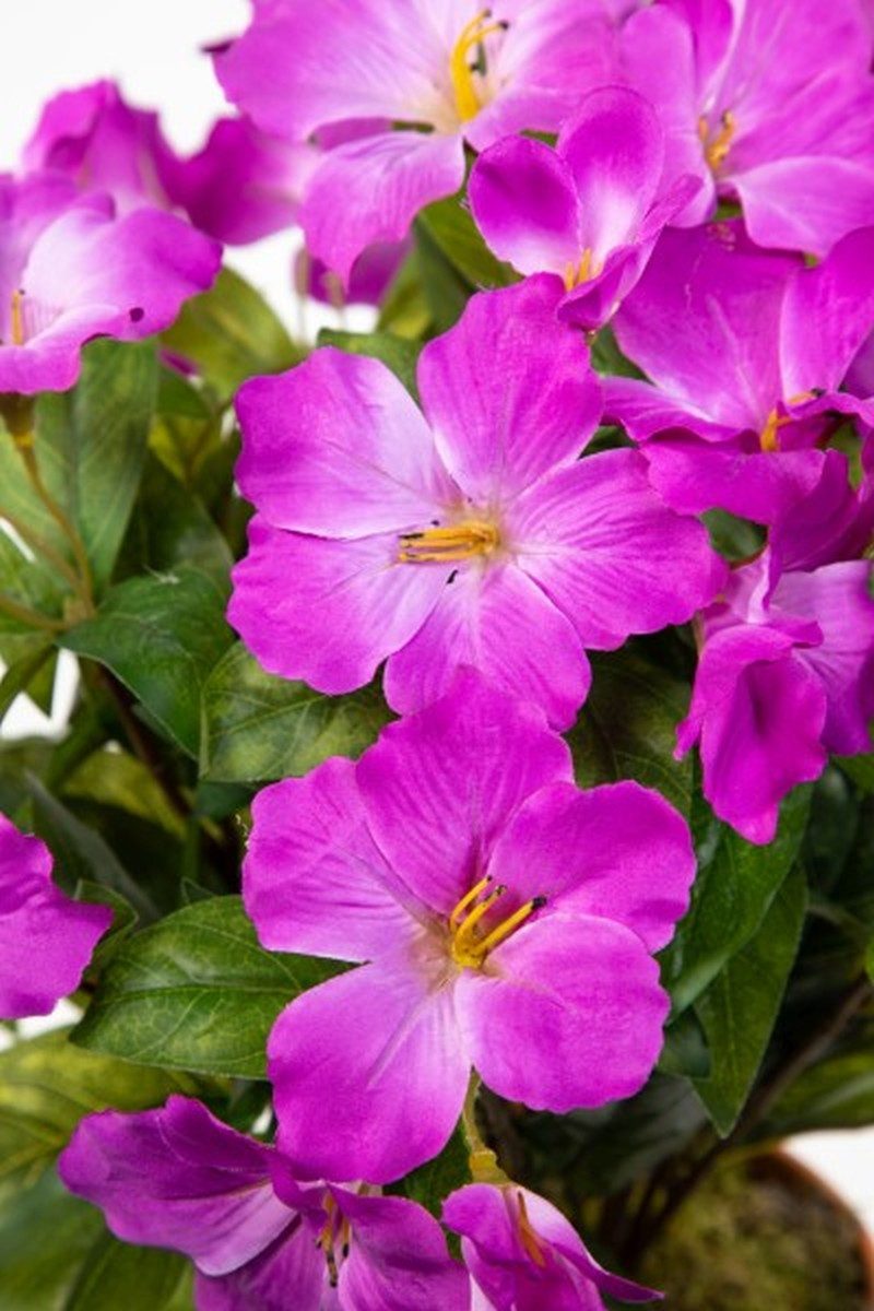 Kunstblume Großer Hibiskus 42cm im Topf günstig online kaufen
