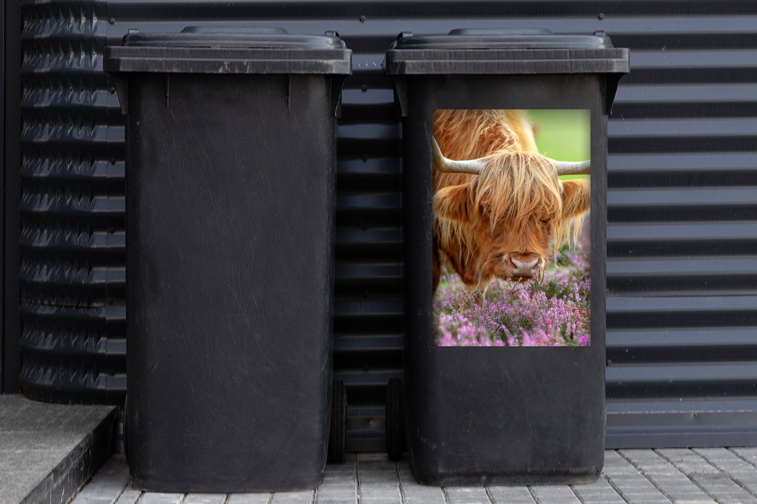 MuchoWow Wandsticker - Mülleimer-aufkleber, Abfalbehälter Mülltonne, Highlander (1 Blumen Lila Container, Sticker, Schottischer - St)