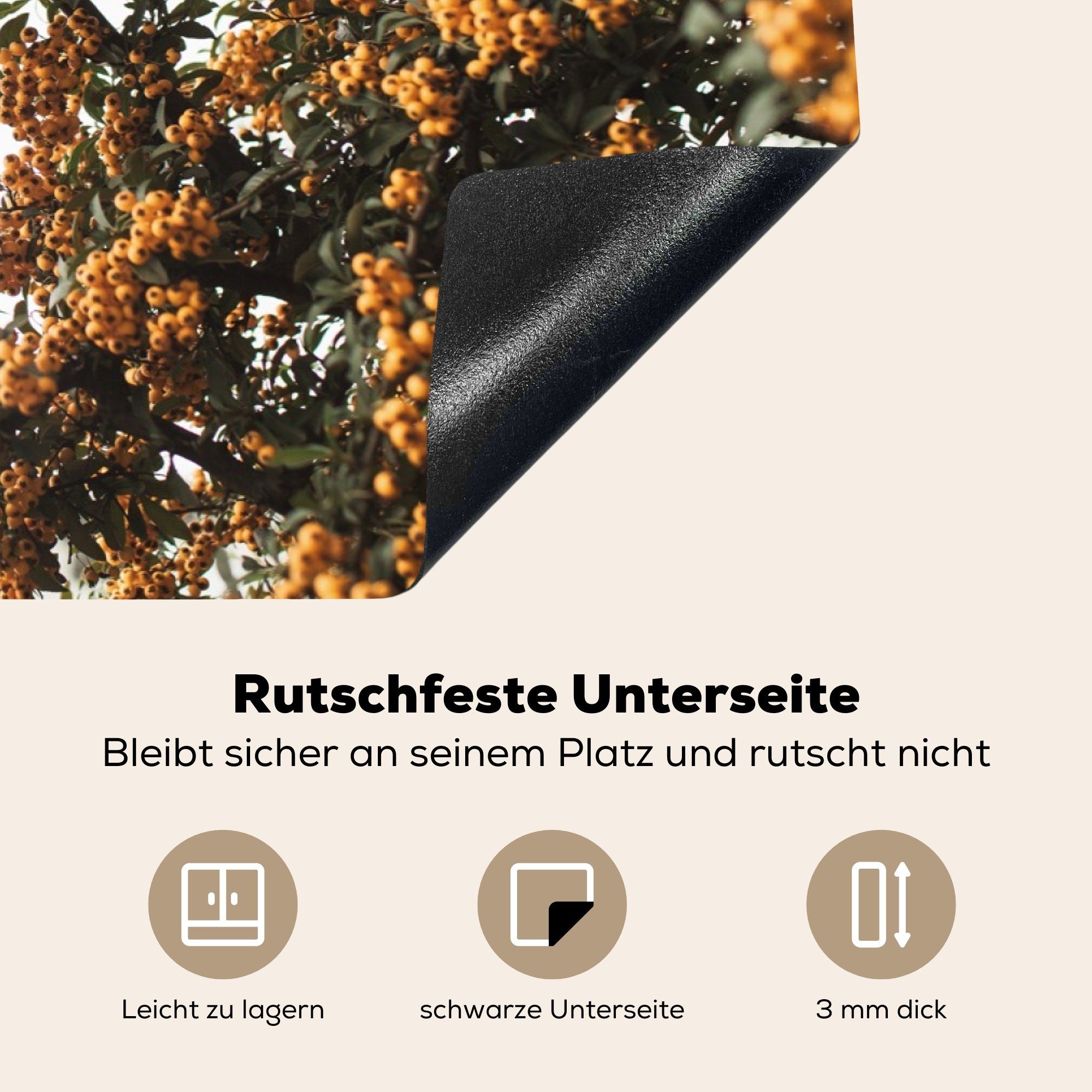 tlg), für Blumen Schutz 81x52 - die Herdblende-/Abdeckplatte (1 küche, Ceranfeldabdeckung Äste Induktionskochfeld MuchoWow cm, Vinyl, Natur, -