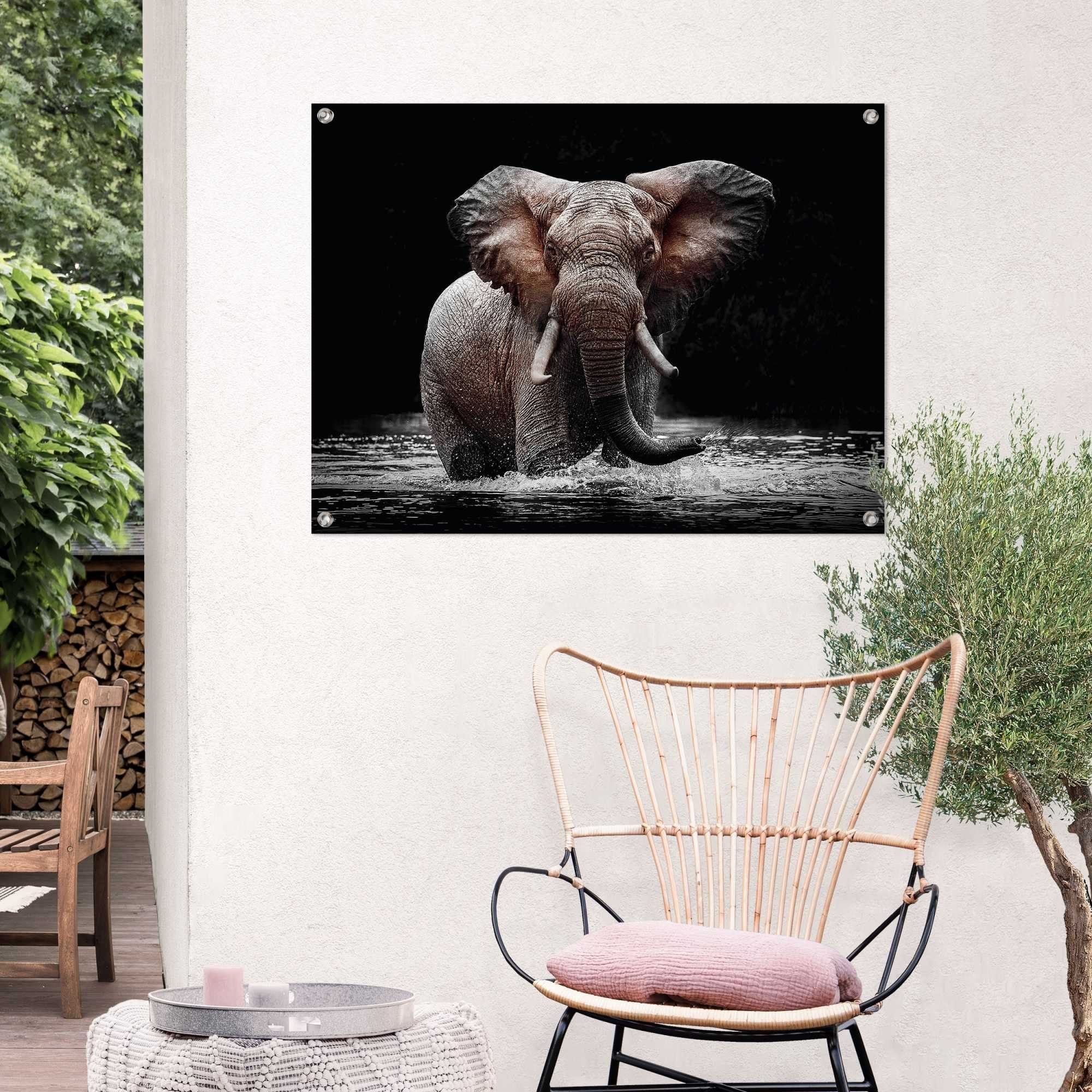 Reinders! Poster Elefant, Outdoor Garten für Balkon oder