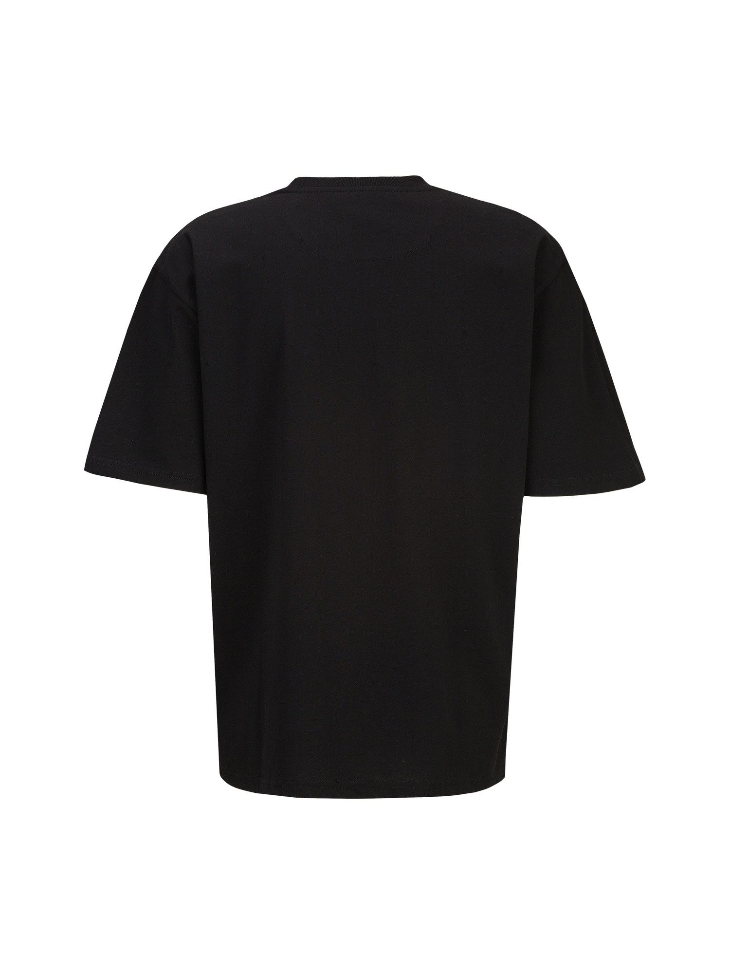 19V69 ITALIA T-Shirt TAMARO STREETART