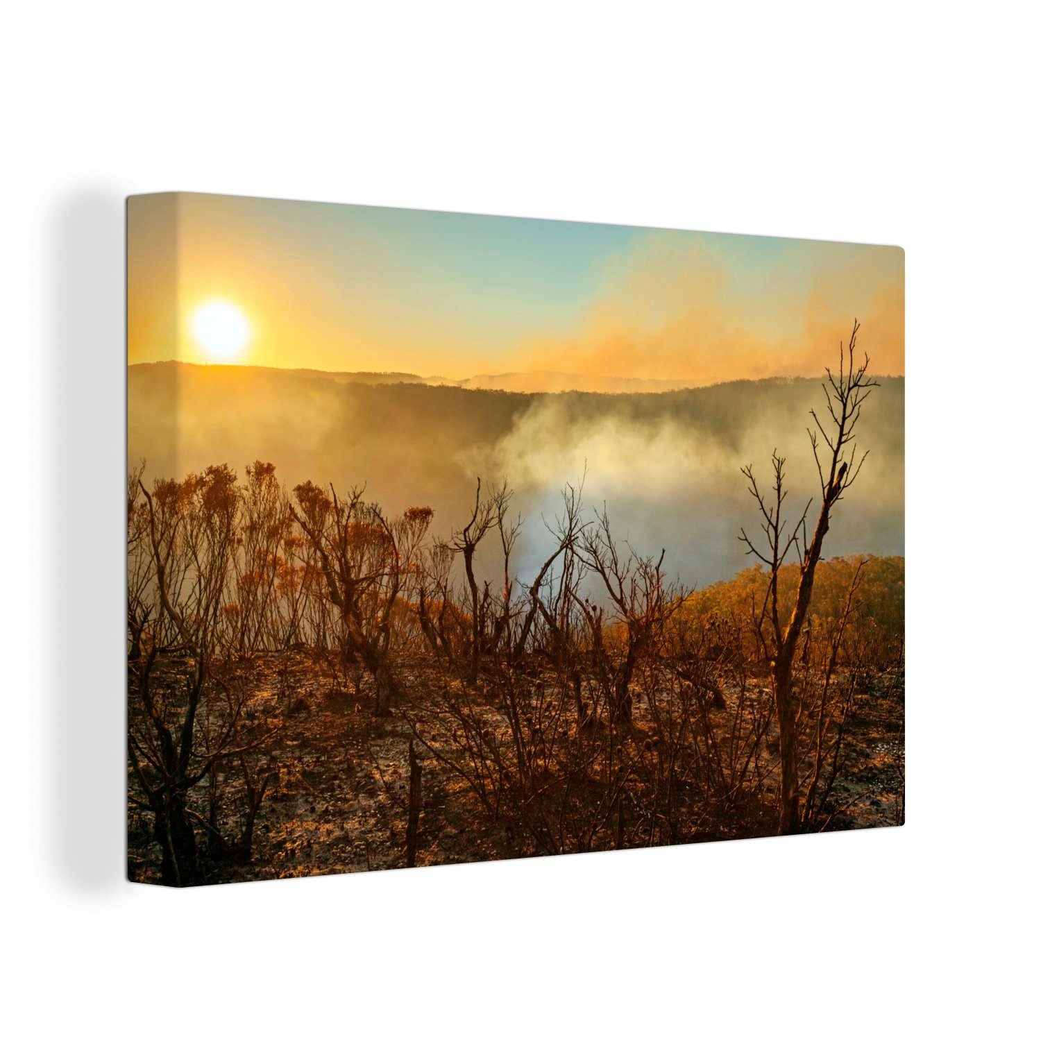 OneMillionCanvasses® Leinwandbild Baum - Feuer - Rauch, (1 St), Wandbild Leinwandbilder, Aufhängefertig, Wanddeko, 30x20 cm